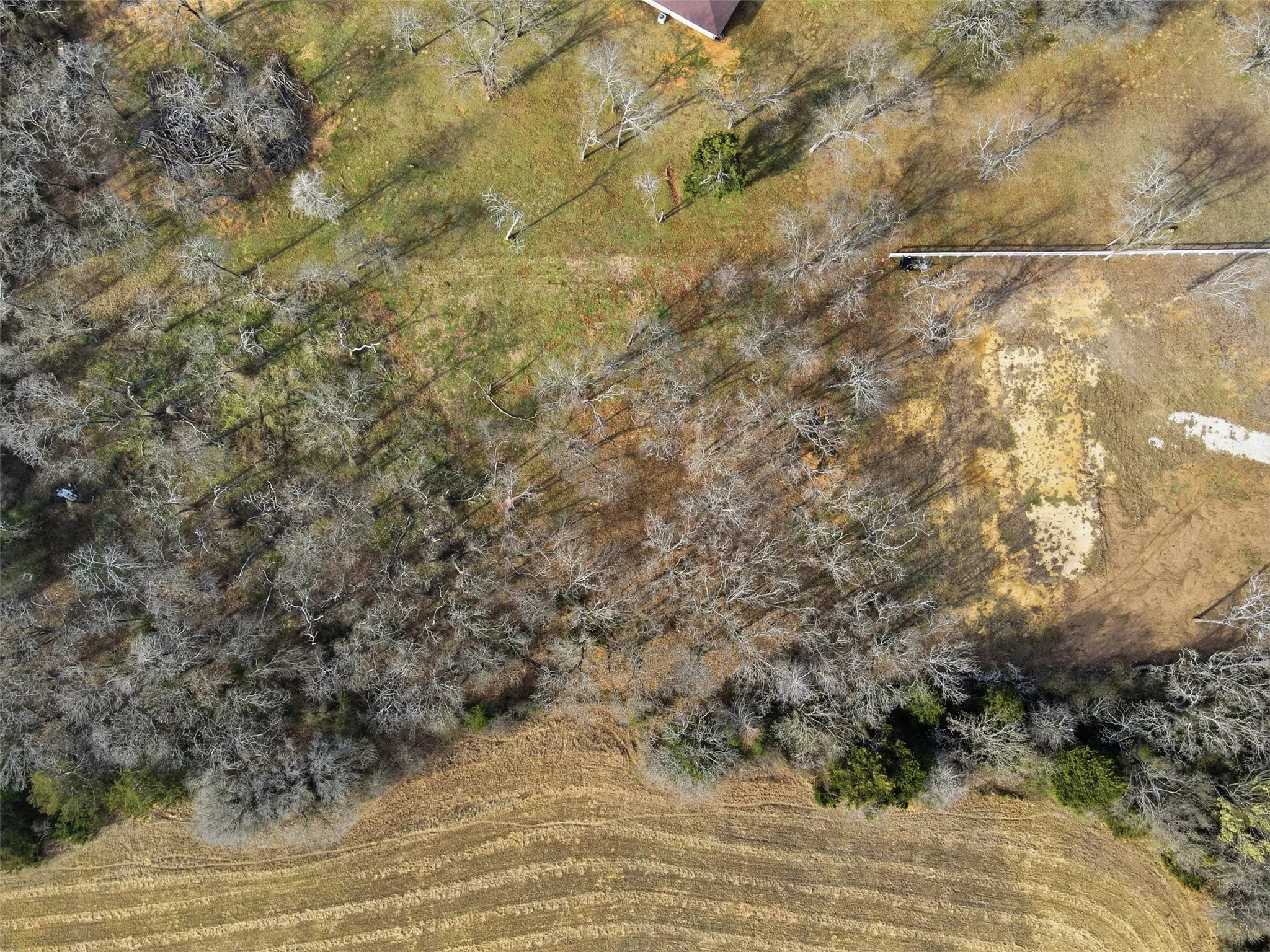 Unimproved Land For Sale in Johnson County , 2508 County Road 314, Cleburne, Texas 76031, 0, 0, Garage spaces, 0 Sqft, built in 0, mls#21189294, Real Estate Agent in Cleburne, Homes For Sale in Johnson county, Homes For Sale in Cleburne, Realtor in Cleburne Texas, Real Estate Brokerage Independent Realty Texas, Luminita Cordes Realtor