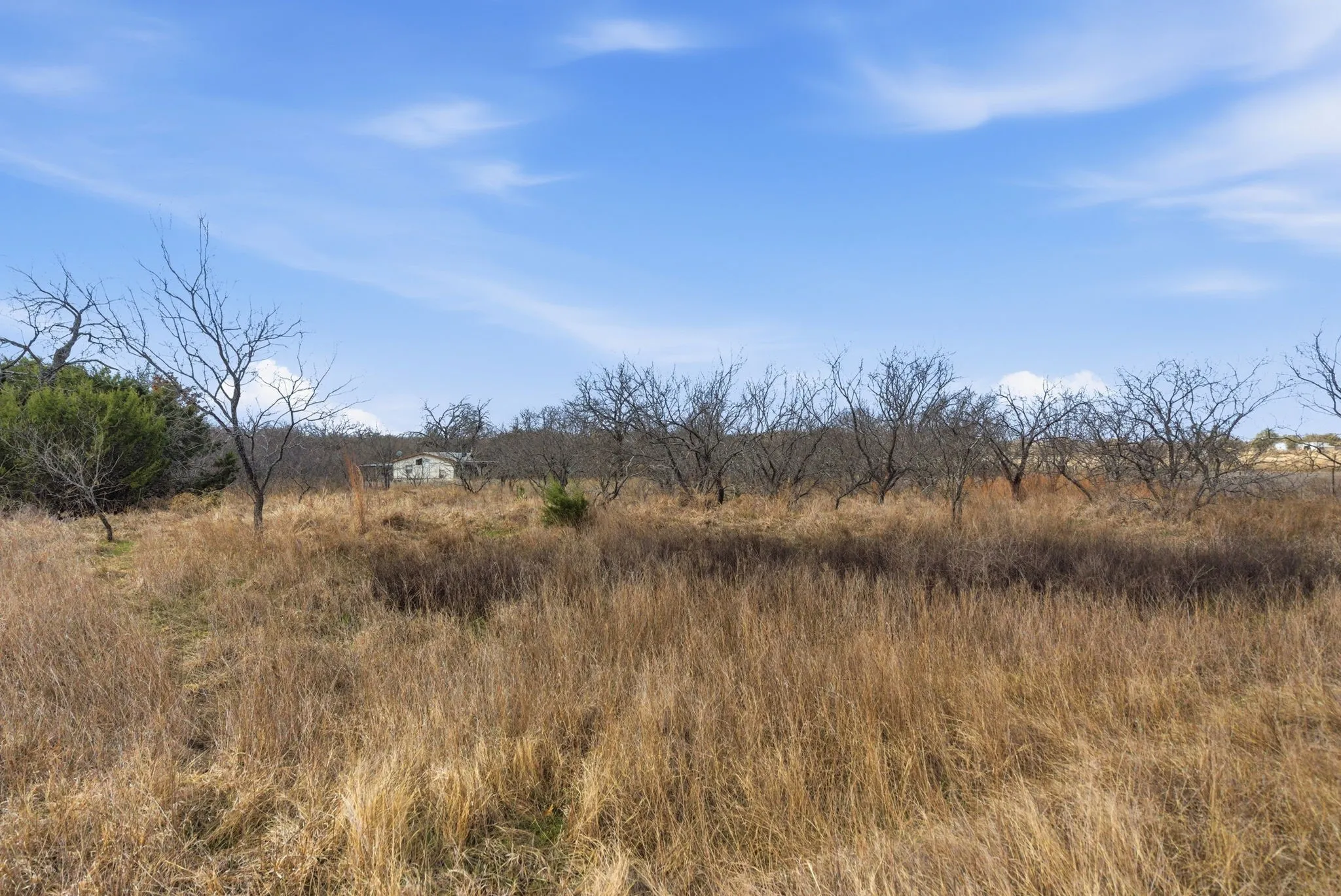 Improved Land For Sale in Hood County , 8005 Contrary Creek Road, Granbury, Texas 76048, 0, 0, Garage spaces, 0 Sqft, built in 0, mls#21192630, Real Estate Agent in Granbury, Homes For Sale in Hood county, Homes For Sale in Granbury, Realtor in Granbury Texas, Real Estate Brokerage Independent Realty Texas, Luminita Cordes Realtor