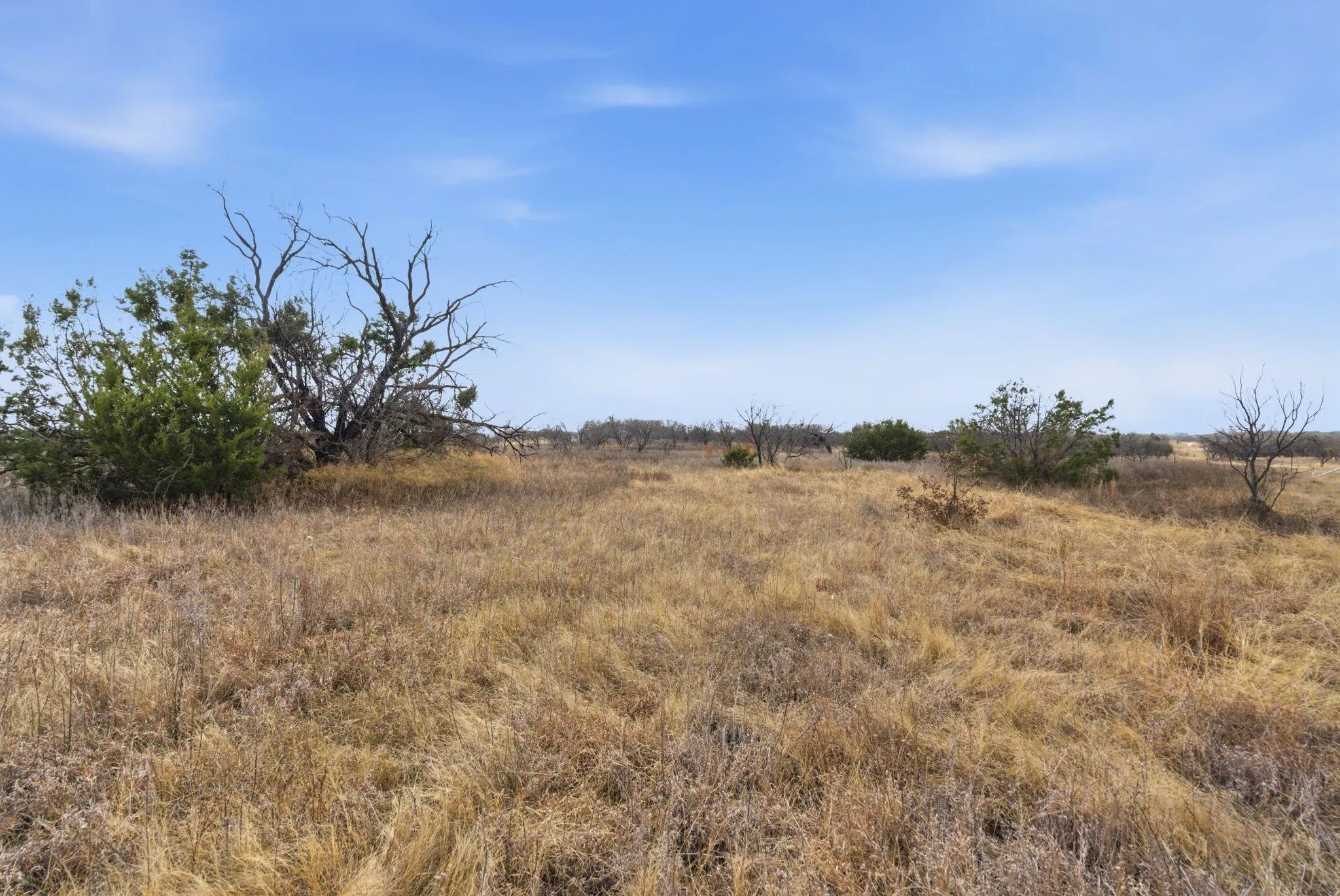 Improved Land For Sale in Hood County , 8005 Contrary Creek Road, Granbury, Texas 76048, 0, 0, Garage spaces, 0 Sqft, built in 0, mls#21192630, Real Estate Agent in Granbury, Homes For Sale in Hood county, Homes For Sale in Granbury, Realtor in Granbury Texas, Real Estate Brokerage Independent Realty Texas, Luminita Cordes Realtor