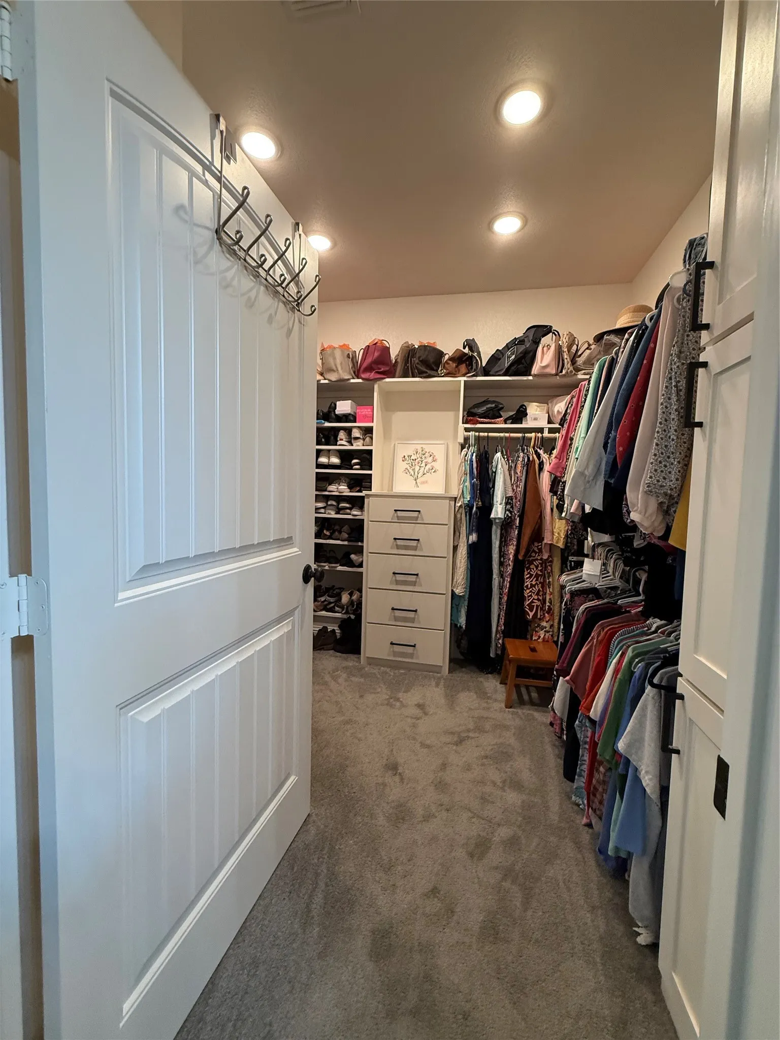 Spacious closet featuring carpet flooring