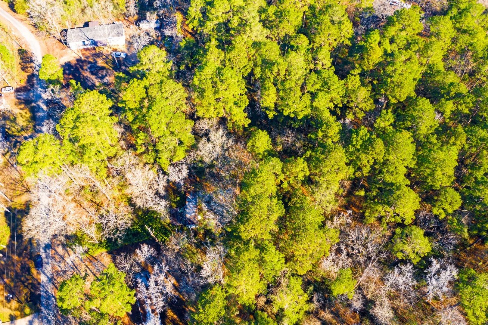 Unimproved Land For Sale in Trinity County , Lot 30 Cedar Court, Trinity, Texas 75862, 0, 0, Garage spaces, 0 Sqft, built in 0, mls#21192841, Real Estate Agent in Trinity, Homes For Sale in Trinity county, Homes For Sale in Trinity, Realtor in Trinity Texas, Real Estate Brokerage Independent Realty Texas, Luminita Cordes Realtor