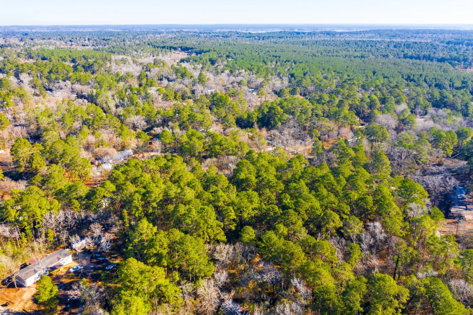 Unimproved Land For Sale in Trinity County , Lot 30 Cedar Court, Trinity, Texas 75862, 0, 0, Garage spaces, 0 Sqft, built in 0, mls#21192841, Real Estate Agent in Trinity, Homes For Sale in Trinity county, Homes For Sale in Trinity, Realtor in Trinity Texas, Real Estate Brokerage Independent Realty Texas, Luminita Cordes Realtor