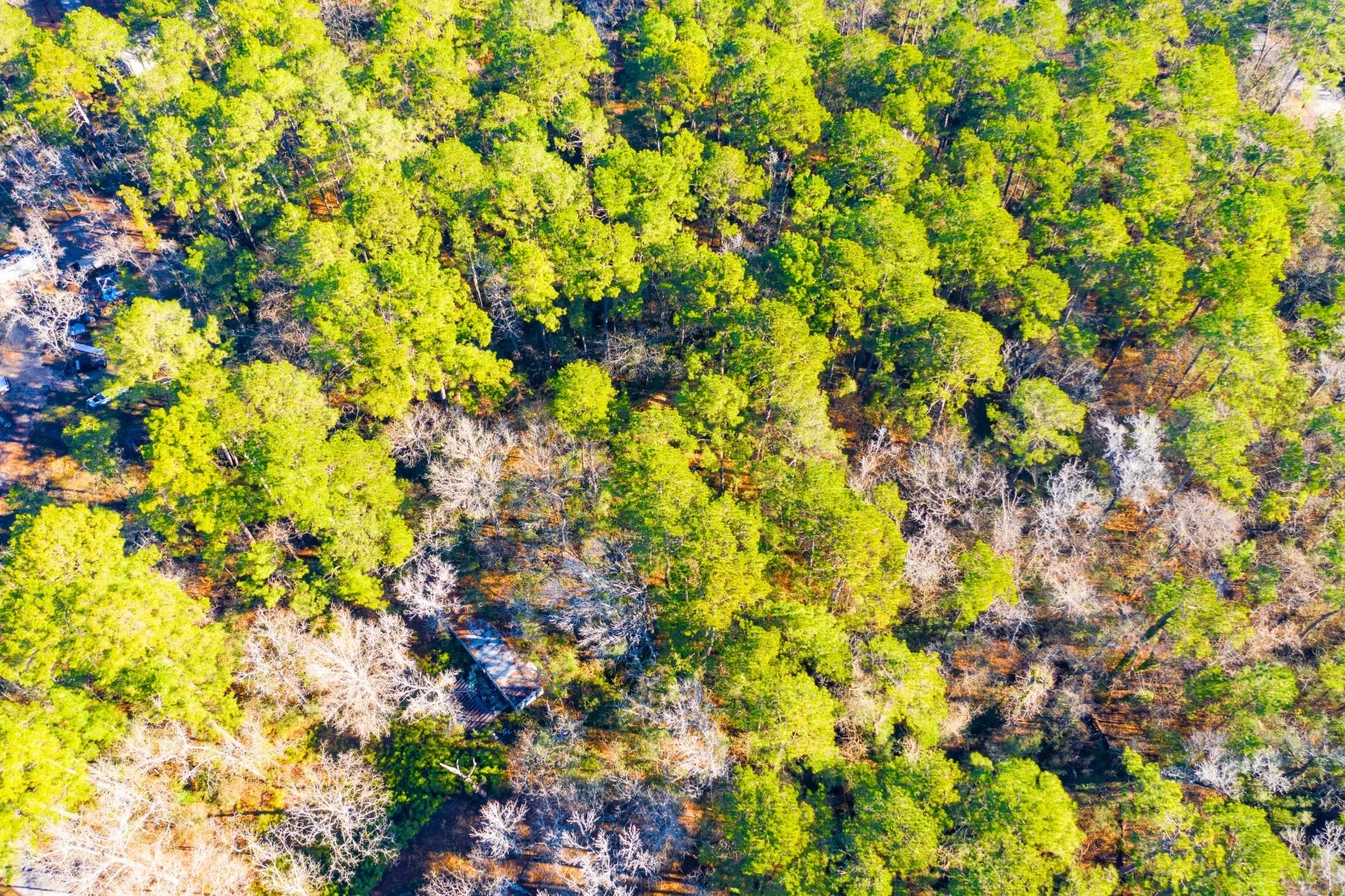 Unimproved Land For Sale in Trinity County , Lot 30 Cedar Court, Trinity, Texas 75862, 0, 0, Garage spaces, 0 Sqft, built in 0, mls#21192841, Real Estate Agent in Trinity, Homes For Sale in Trinity county, Homes For Sale in Trinity, Realtor in Trinity Texas, Real Estate Brokerage Independent Realty Texas, Luminita Cordes Realtor