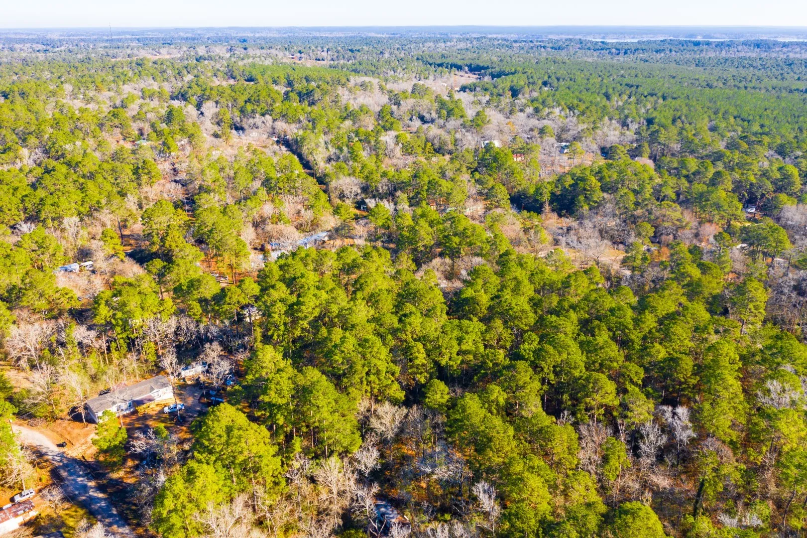 Unimproved Land For Sale in Trinity County , Lot 30 Cedar Court, Trinity, Texas 75862, 0, 0, Garage spaces, 0 Sqft, built in 0, mls#21192841, Real Estate Agent in Trinity, Homes For Sale in Trinity county, Homes For Sale in Trinity, Realtor in Trinity Texas, Real Estate Brokerage Independent Realty Texas, Luminita Cordes Realtor