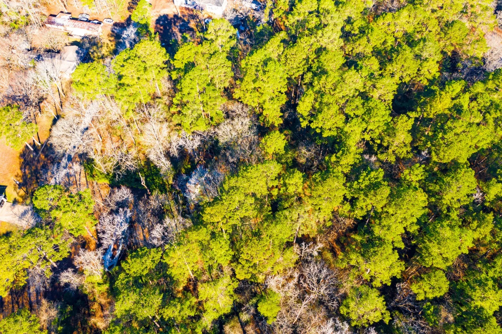 Unimproved Land For Sale in Trinity County , Lot 30 Cedar Court, Trinity, Texas 75862, 0, 0, Garage spaces, 0 Sqft, built in 0, mls#21192841, Real Estate Agent in Trinity, Homes For Sale in Trinity county, Homes For Sale in Trinity, Realtor in Trinity Texas, Real Estate Brokerage Independent Realty Texas, Luminita Cordes Realtor