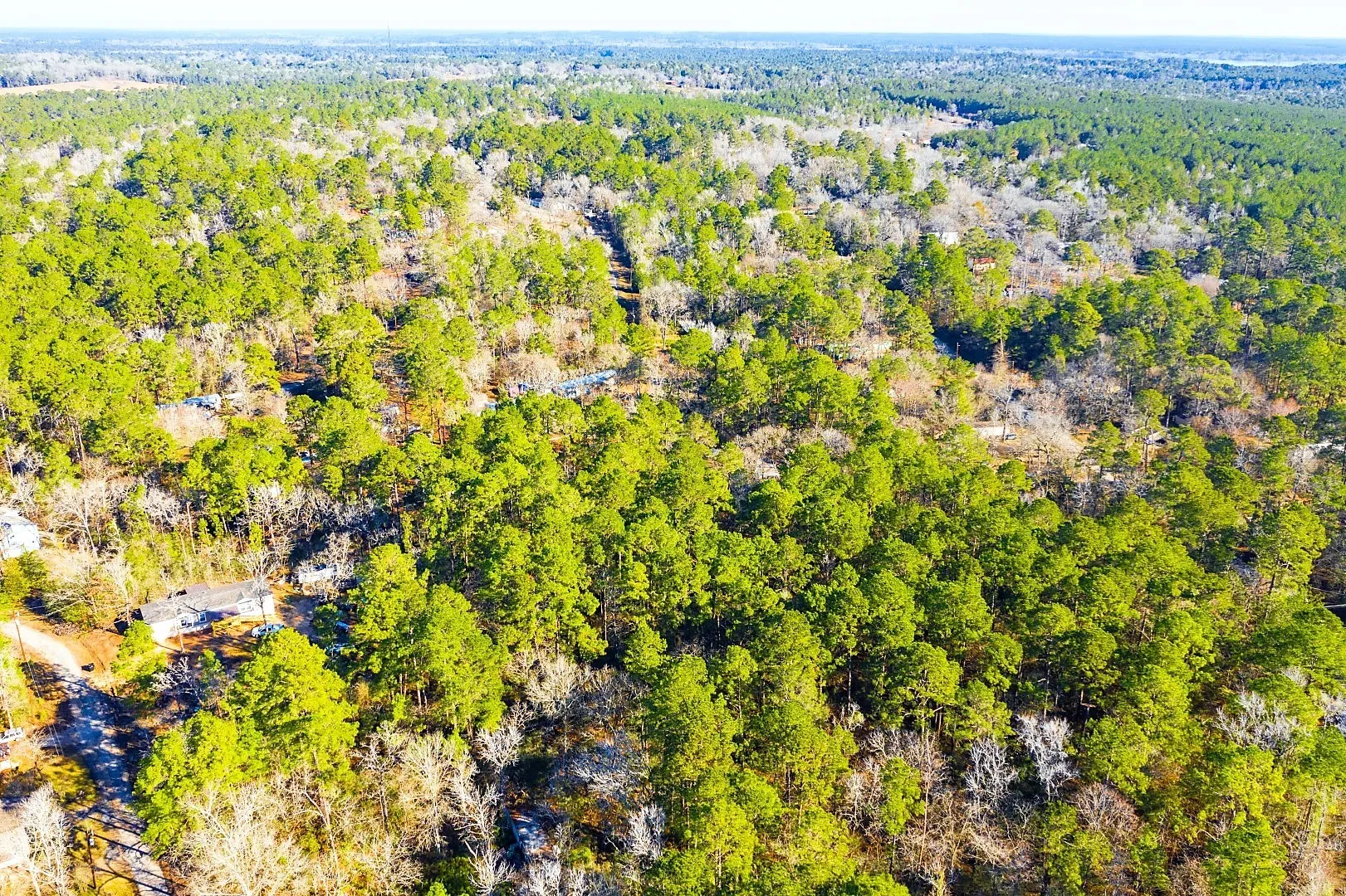 Unimproved Land For Sale in Trinity County , Lot 30 Cedar Court, Trinity, Texas 75862, 0, 0, Garage spaces, 0 Sqft, built in 0, mls#21192841, Real Estate Agent in Trinity, Homes For Sale in Trinity county, Homes For Sale in Trinity, Realtor in Trinity Texas, Real Estate Brokerage Independent Realty Texas, Luminita Cordes Realtor