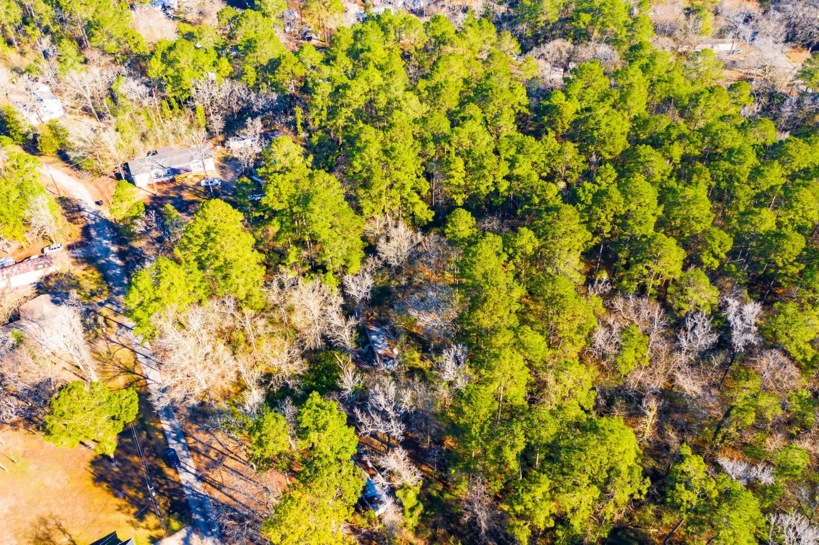 Unimproved Land For Sale in Trinity County , Lot 30 Cedar Court, Trinity, Texas 75862, 0, 0, Garage spaces, 0 Sqft, built in 0, mls#21192841, Real Estate Agent in Trinity, Homes For Sale in Trinity county, Homes For Sale in Trinity, Realtor in Trinity Texas, Real Estate Brokerage Independent Realty Texas, Luminita Cordes Realtor