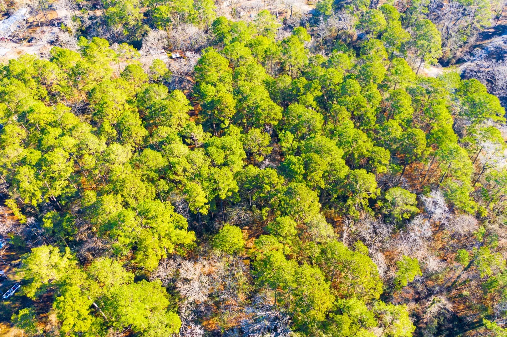 Unimproved Land For Sale in Trinity County , Lot 30 Cedar Court, Trinity, Texas 75862, 0, 0, Garage spaces, 0 Sqft, built in 0, mls#21192841, Real Estate Agent in Trinity, Homes For Sale in Trinity county, Homes For Sale in Trinity, Realtor in Trinity Texas, Real Estate Brokerage Independent Realty Texas, Luminita Cordes Realtor
