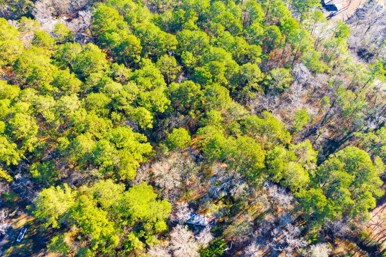Unimproved Land For Sale in Trinity County , Lot 30 Cedar Court, Trinity, Texas 75862, 0, 0, Garage spaces, 0 Sqft, built in 0, mls#21192841, Real Estate Agent in Trinity, Homes For Sale in Trinity county, Homes For Sale in Trinity, Realtor in Trinity Texas, Real Estate Brokerage Independent Realty Texas, Luminita Cordes Realtor