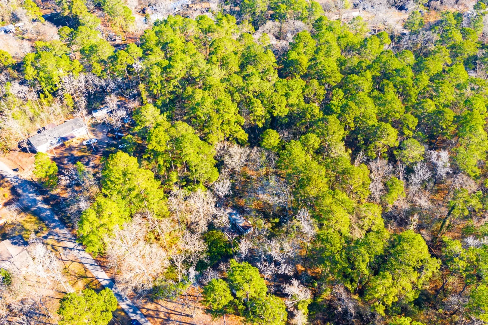 Unimproved Land For Sale in Trinity County , Lot 30 Cedar Court, Trinity, Texas 75862, 0, 0, Garage spaces, 0 Sqft, built in 0, mls#21192841, Real Estate Agent in Trinity, Homes For Sale in Trinity county, Homes For Sale in Trinity, Realtor in Trinity Texas, Real Estate Brokerage Independent Realty Texas, Luminita Cordes Realtor