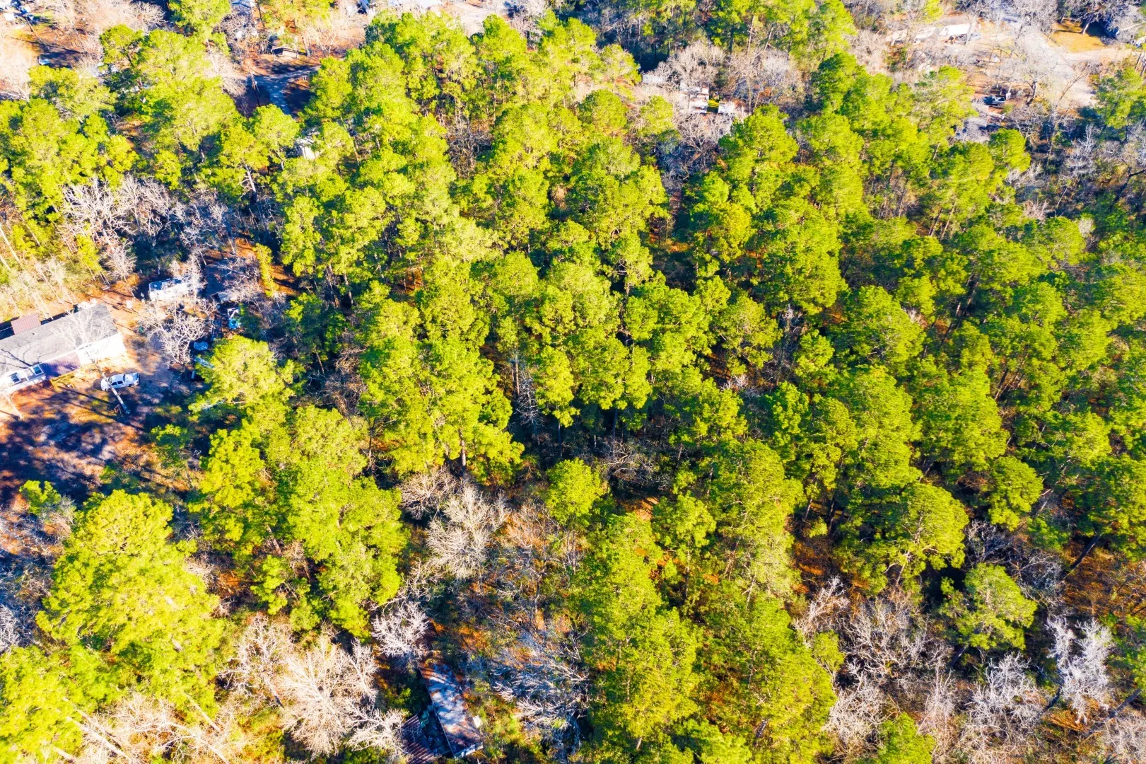 Unimproved Land For Sale in Trinity County , Lot 30 Cedar Court, Trinity, Texas 75862, 0, 0, Garage spaces, 0 Sqft, built in 0, mls#21192841, Real Estate Agent in Trinity, Homes For Sale in Trinity county, Homes For Sale in Trinity, Realtor in Trinity Texas, Real Estate Brokerage Independent Realty Texas, Luminita Cordes Realtor