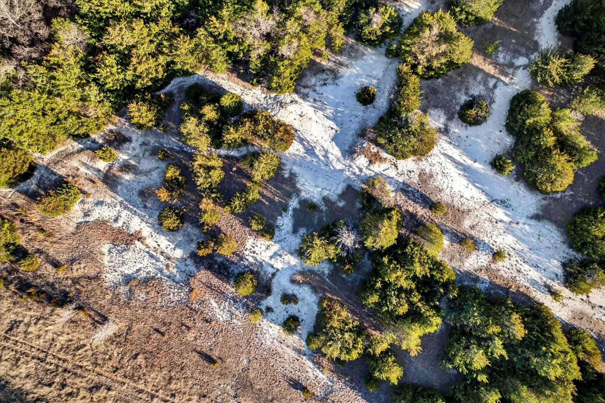 GREAT AREA TO EXPLORE GOING TOWARD CREEK