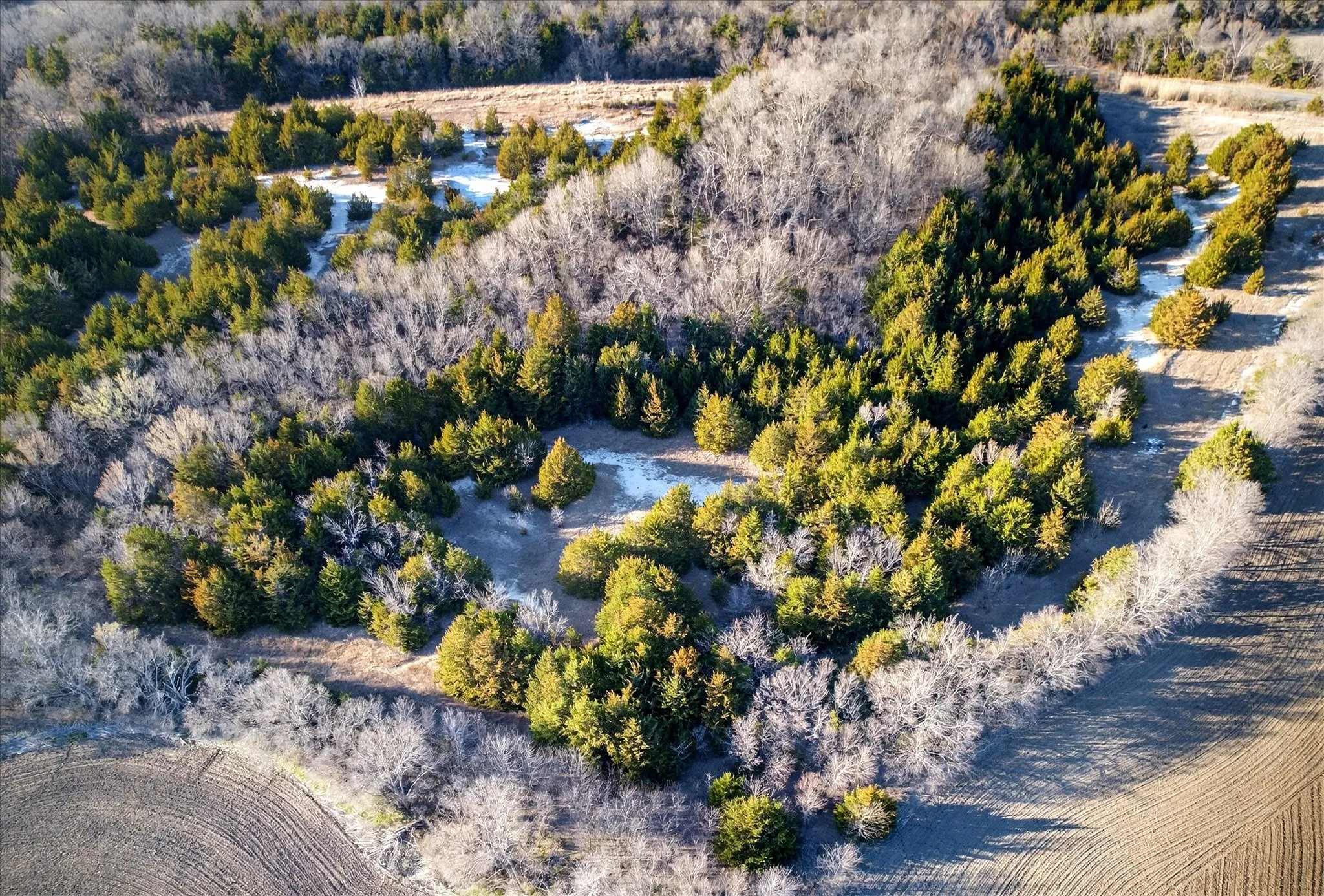LOTS OF TOPOGRAPHY AND TREES ALONG THIS AREA,