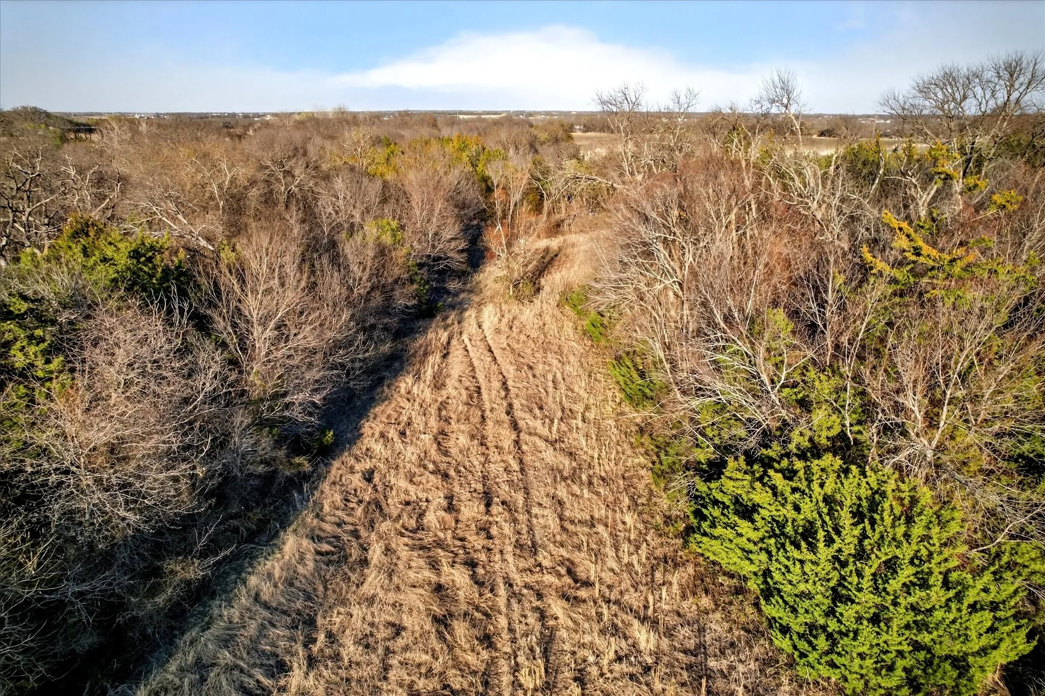 VIEW FROM CREEK ALONG GAS LINE RIGHT OF WAY TO THE SOUTHWEST