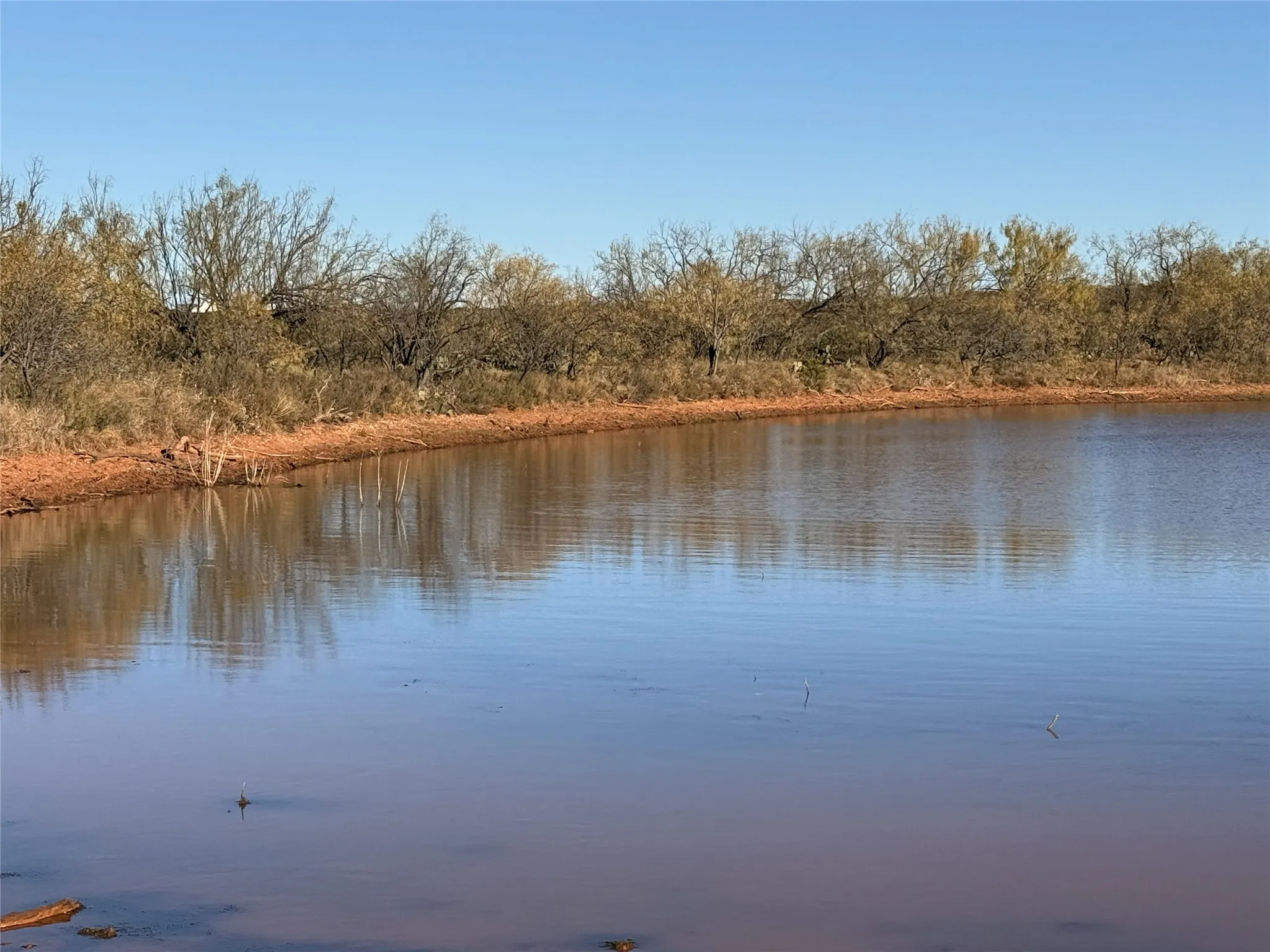 Ranch For Sale in Taylor County , 5725 TBD FM 604, Ovalo, Texas 79541, 0, 0, Garage spaces, 0 Sqft, built in 2009, mls#21192897, Real Estate Agent in Ovalo, Homes For Sale in Taylor county, Homes For Sale in Ovalo, Realtor in Ovalo Texas, Real Estate Brokerage Independent Realty Texas, Luminita Cordes Realtor