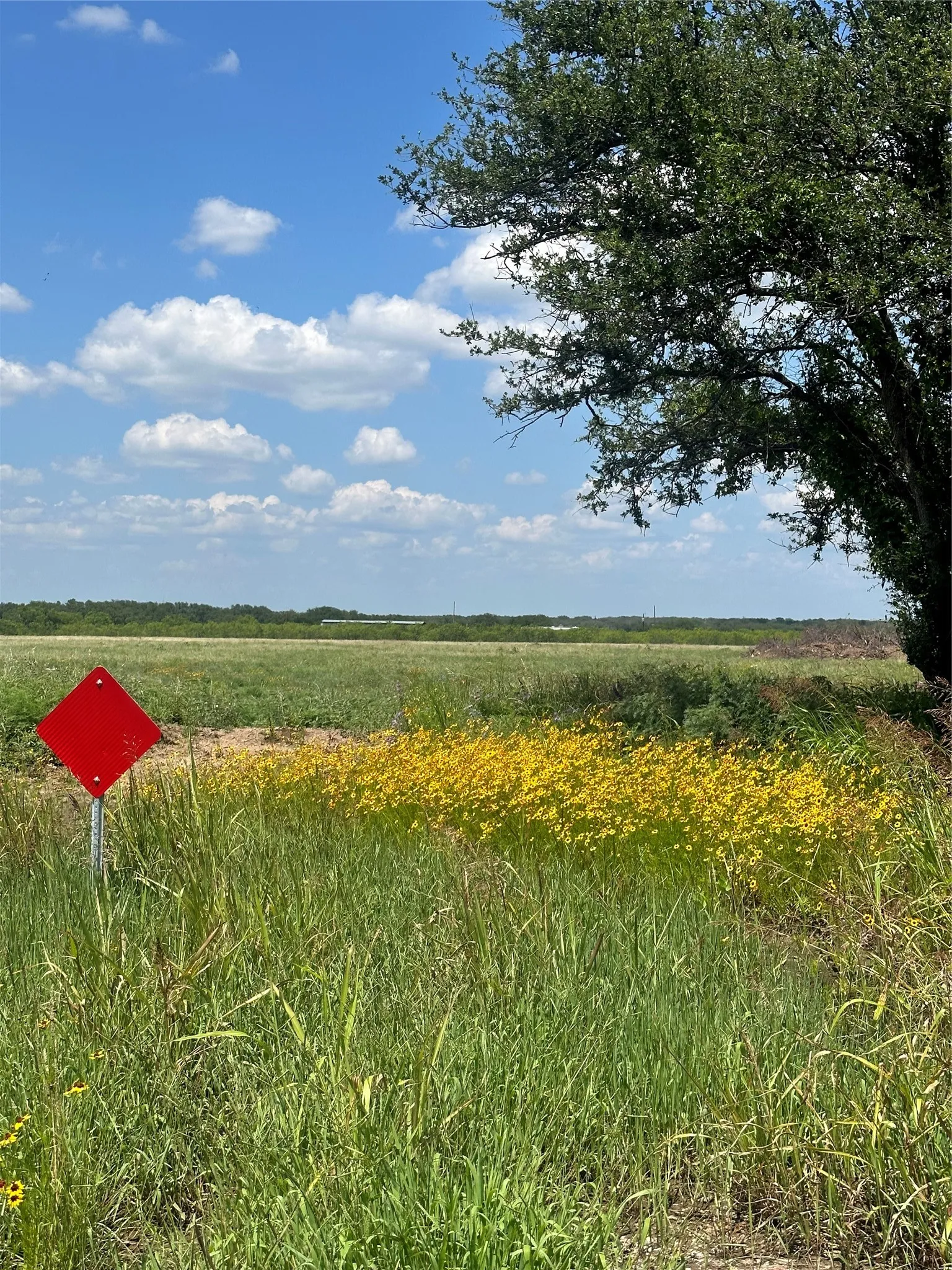 Unimproved Land For Sale in Brown County , 2500 Oak Ridge Drive, Brownwood, Texas 76801, 0, 0, Garage spaces, 0 Sqft, built in 0, mls#21190423, Real Estate Agent in Brownwood, Homes For Sale in Brown county, Homes For Sale in Brownwood, Realtor in Brownwood Texas, Real Estate Brokerage Independent Realty Texas, Luminita Cordes Realtor