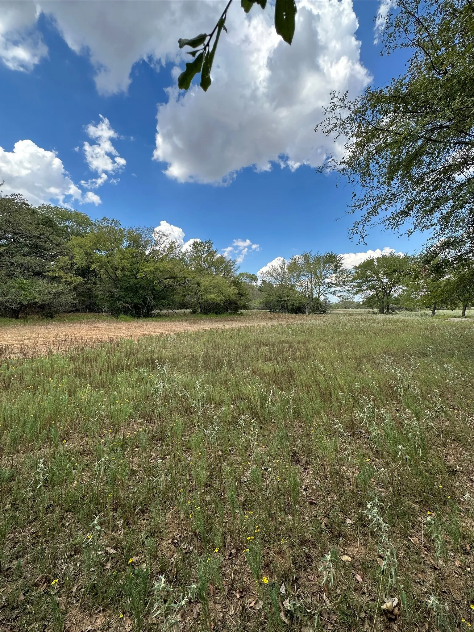 Improved Land For Sale in Robertson County , 853 CR 206, Bremond, Texas 76629, 0, 0, Garage spaces, 0 Sqft, built in 0, Price $1,178,100, mls#21190710, Real Estate Agent in Bremond, Homes For Sale in Robertson county, Homes For Sale in Bremond, Realtor in Bremond Texas, Real Estate Brokerage Independent Realty Texas, Luminita Cordes Realtor