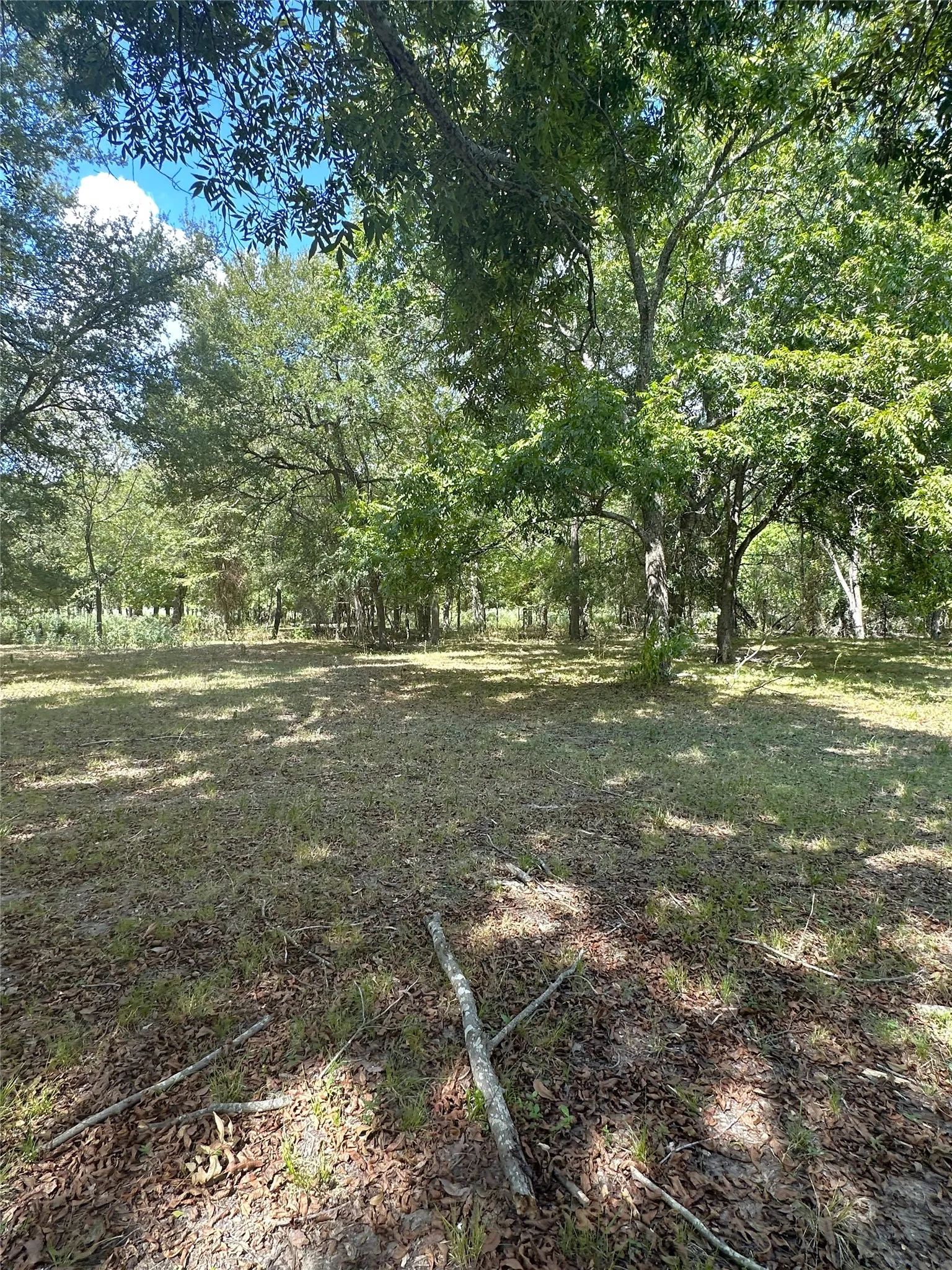 Improved Land For Sale in Robertson County , 853 CR 206, Bremond, Texas 76629, 0, 0, Garage spaces, 0 Sqft, built in 0, Price $1,178,100, mls#21190710, Real Estate Agent in Bremond, Homes For Sale in Robertson county, Homes For Sale in Bremond, Realtor in Bremond Texas, Real Estate Brokerage Independent Realty Texas, Luminita Cordes Realtor