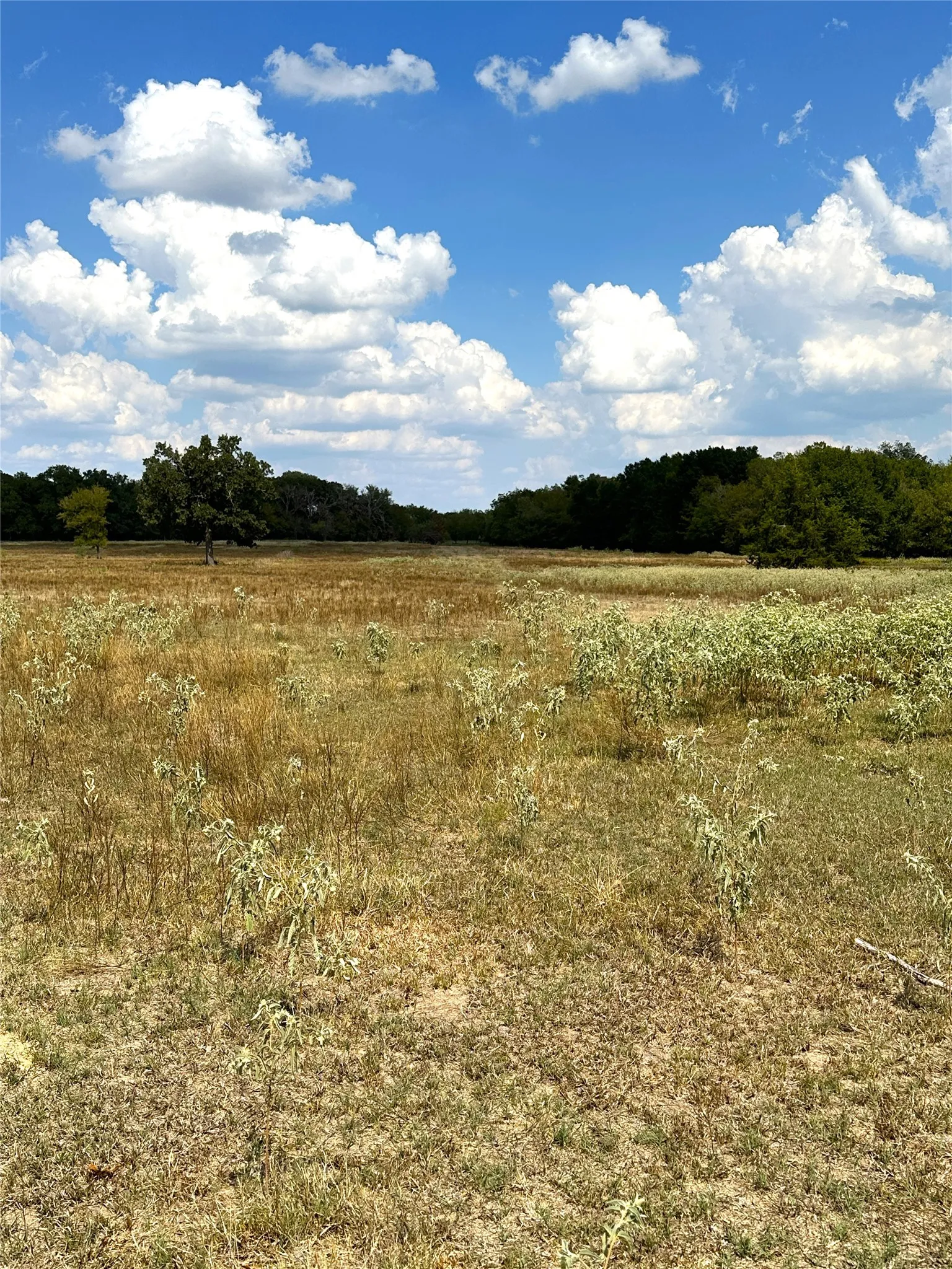 Improved Land For Sale in Robertson County , 853 CR 206, Bremond, Texas 76629, 0, 0, Garage spaces, 0 Sqft, built in 0, Price $1,178,100, mls#21190710, Real Estate Agent in Bremond, Homes For Sale in Robertson county, Homes For Sale in Bremond, Realtor in Bremond Texas, Real Estate Brokerage Independent Realty Texas, Luminita Cordes Realtor