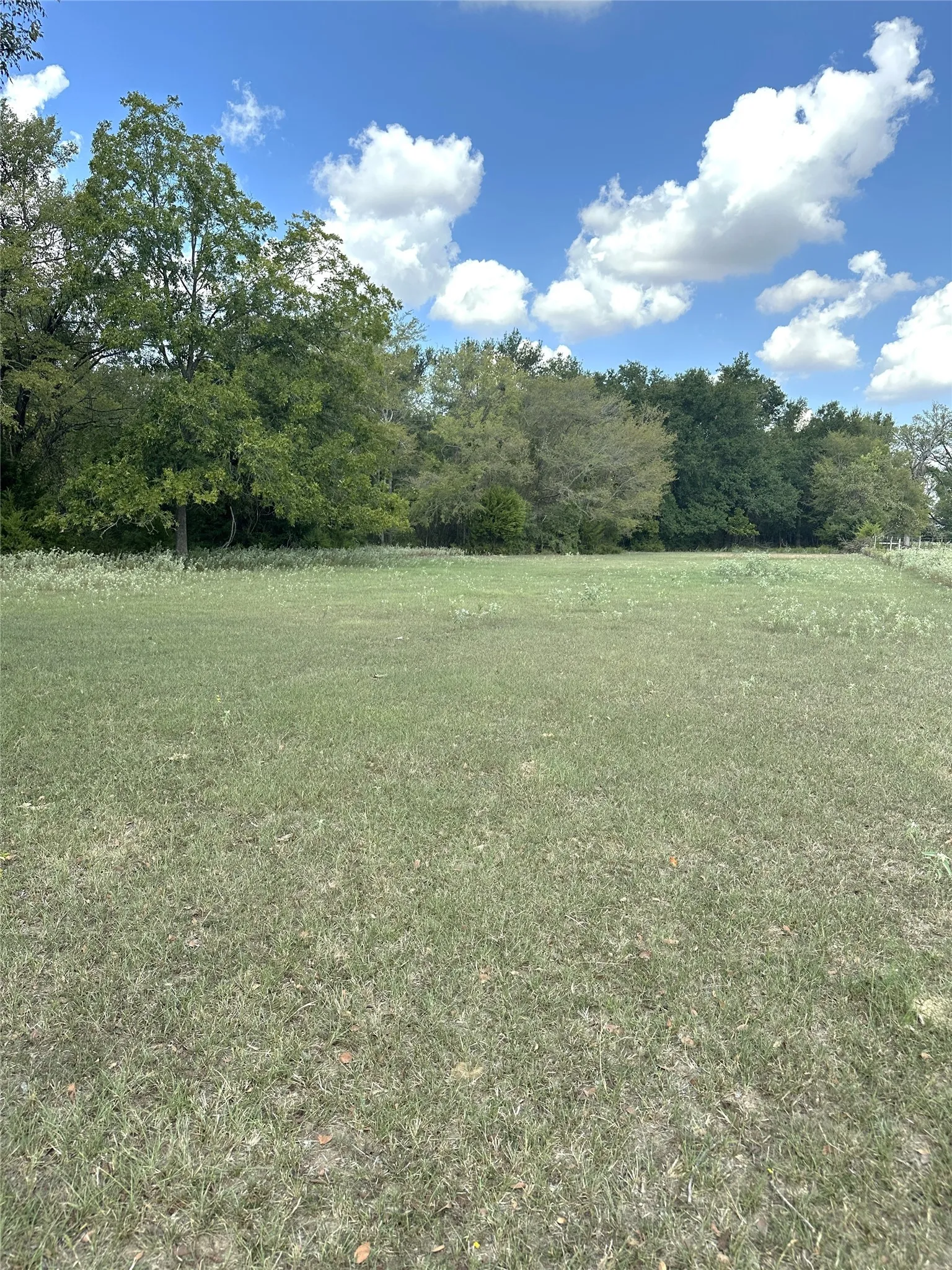 Improved Land For Sale in Robertson County , 853 CR 206, Bremond, Texas 76629, 0, 0, Garage spaces, 0 Sqft, built in 0, Price $1,178,100, mls#21190710, Real Estate Agent in Bremond, Homes For Sale in Robertson county, Homes For Sale in Bremond, Realtor in Bremond Texas, Real Estate Brokerage Independent Realty Texas, Luminita Cordes Realtor