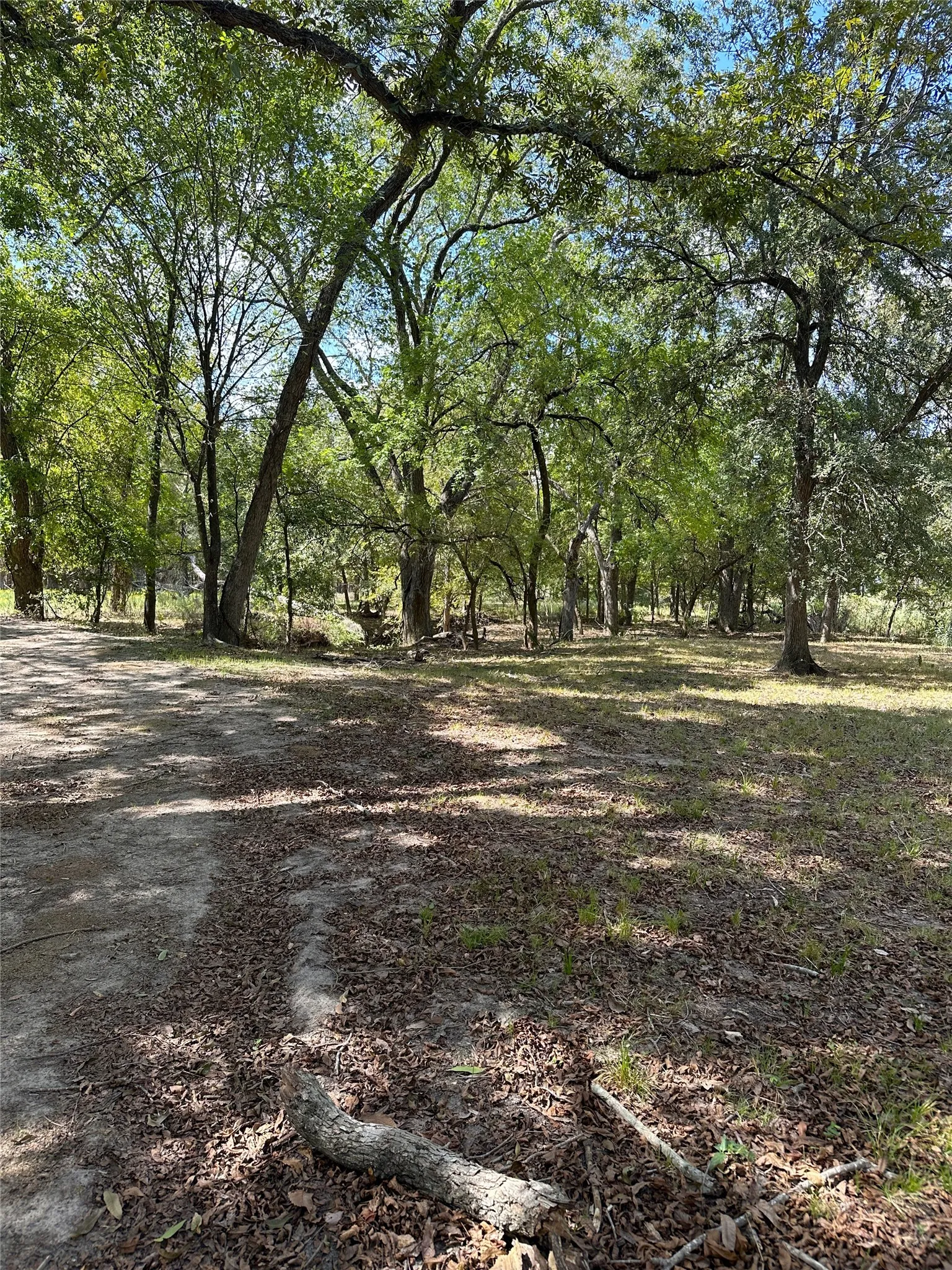 Improved Land For Sale in Robertson County , 853 CR 206, Bremond, Texas 76629, 0, 0, Garage spaces, 0 Sqft, built in 0, Price $1,178,100, mls#21190710, Real Estate Agent in Bremond, Homes For Sale in Robertson county, Homes For Sale in Bremond, Realtor in Bremond Texas, Real Estate Brokerage Independent Realty Texas, Luminita Cordes Realtor
