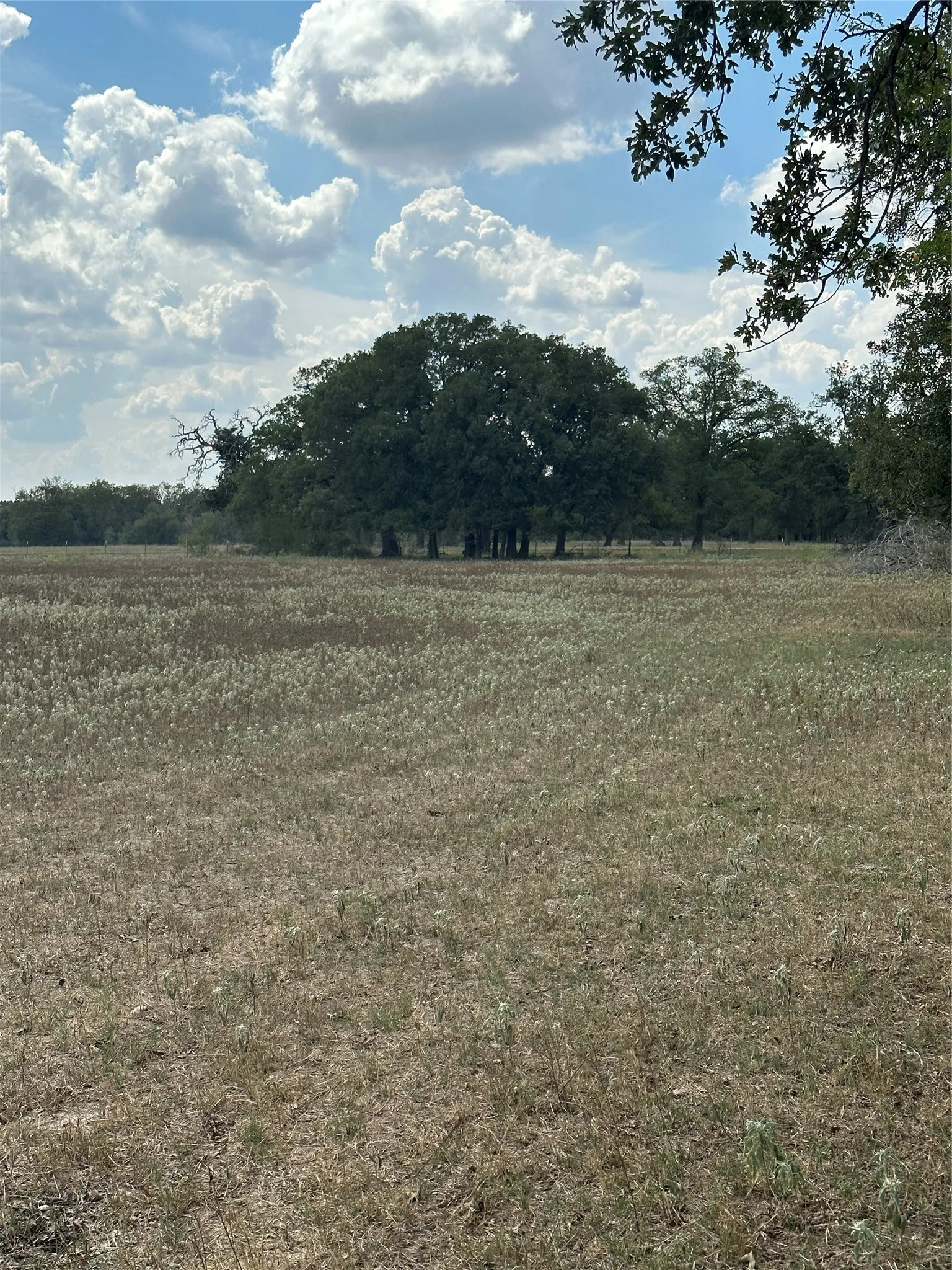 Improved Land For Sale in Robertson County , 853 CR 206, Bremond, Texas 76629, 0, 0, Garage spaces, 0 Sqft, built in 0, Price $1,178,100, mls#21190710, Real Estate Agent in Bremond, Homes For Sale in Robertson county, Homes For Sale in Bremond, Realtor in Bremond Texas, Real Estate Brokerage Independent Realty Texas, Luminita Cordes Realtor