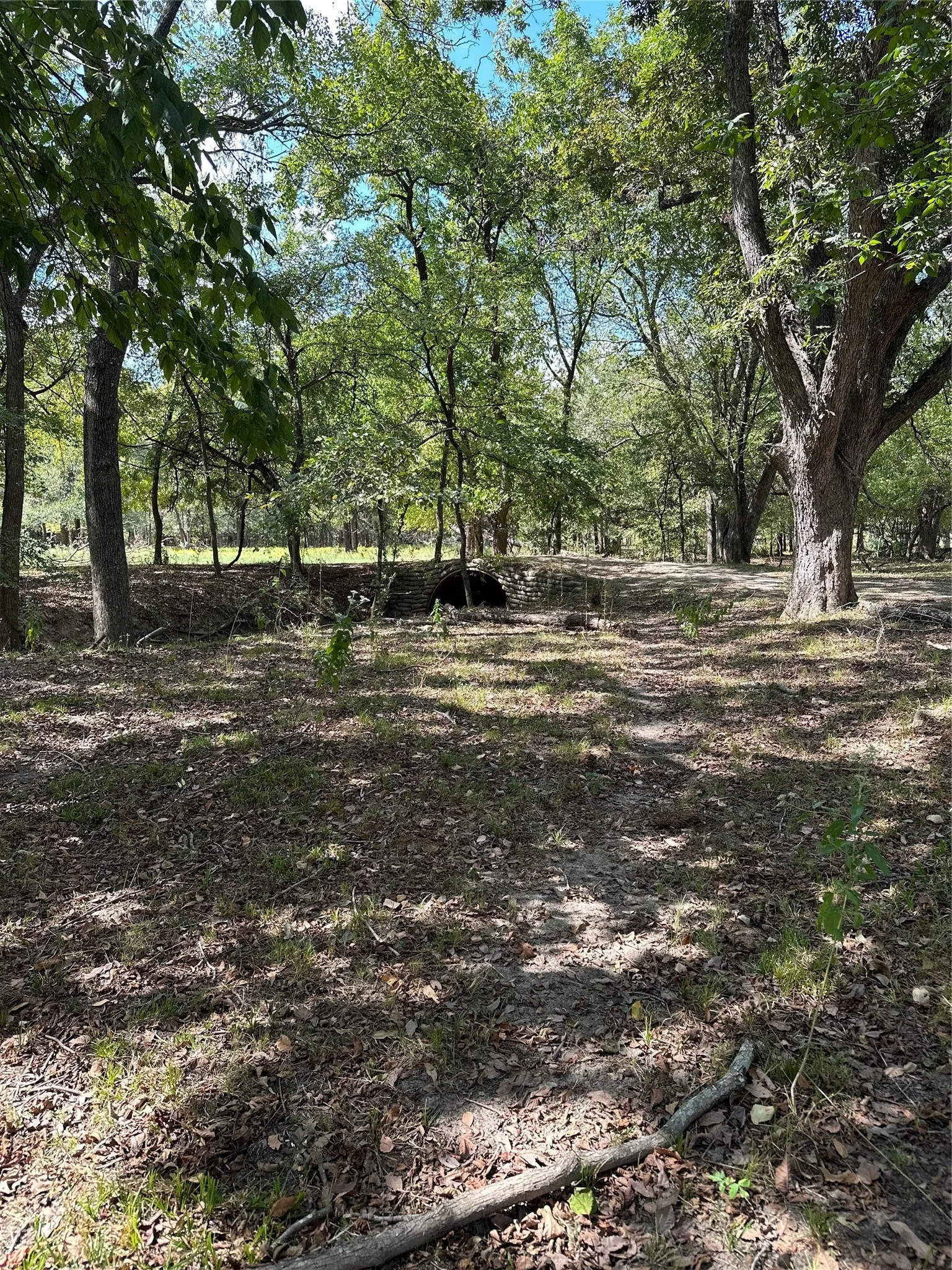 Improved Land For Sale in Robertson County , 853 CR 206, Bremond, Texas 76629, 0, 0, Garage spaces, 0 Sqft, built in 0, Price $1,178,100, mls#21190710, Real Estate Agent in Bremond, Homes For Sale in Robertson county, Homes For Sale in Bremond, Realtor in Bremond Texas, Real Estate Brokerage Independent Realty Texas, Luminita Cordes Realtor