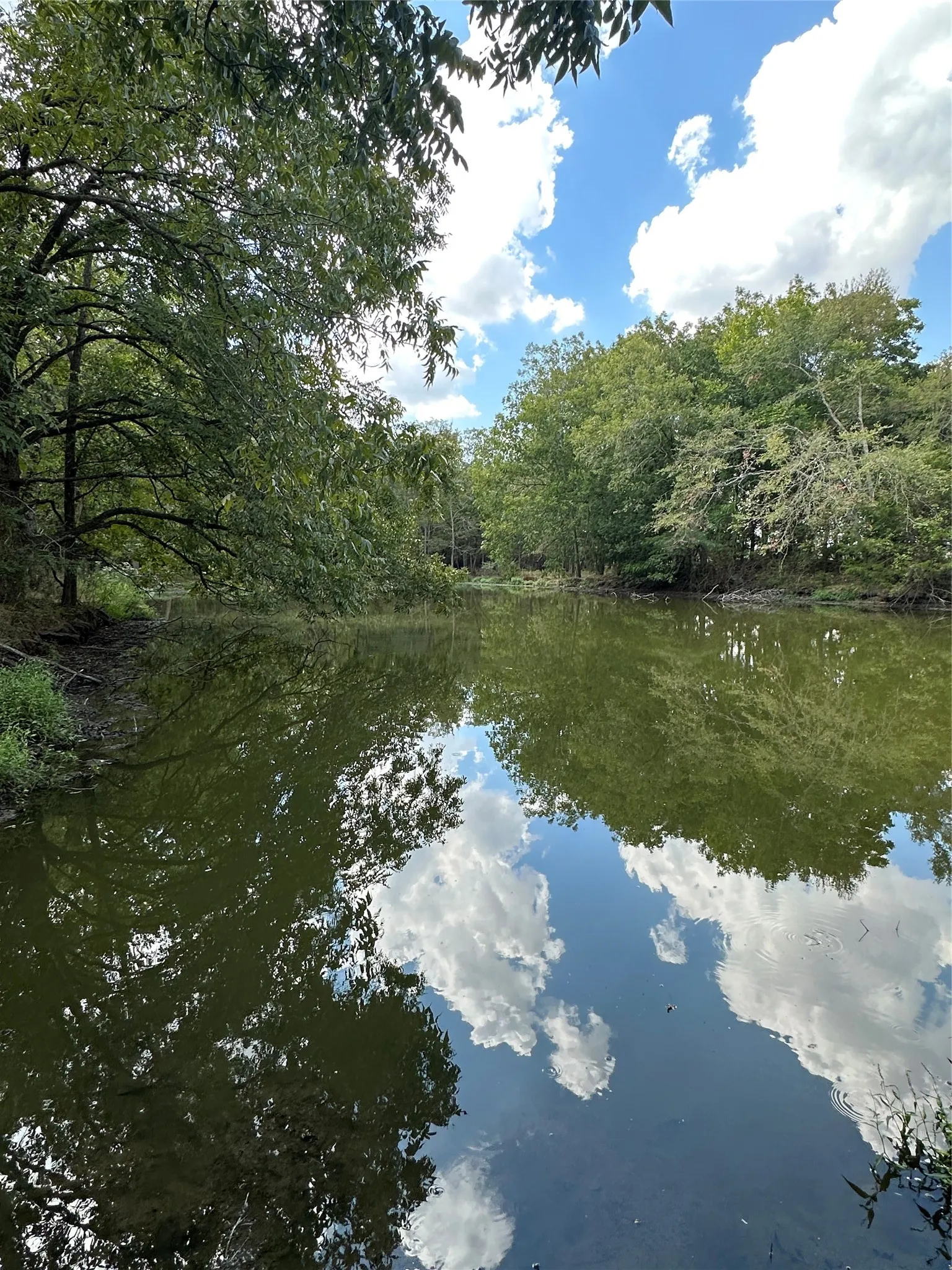 Improved Land For Sale in Robertson County , 853 CR 206, Bremond, Texas 76629, 0, 0, Garage spaces, 0 Sqft, built in 0, Price $1,178,100, mls#21190710, Real Estate Agent in Bremond, Homes For Sale in Robertson county, Homes For Sale in Bremond, Realtor in Bremond Texas, Real Estate Brokerage Independent Realty Texas, Luminita Cordes Realtor