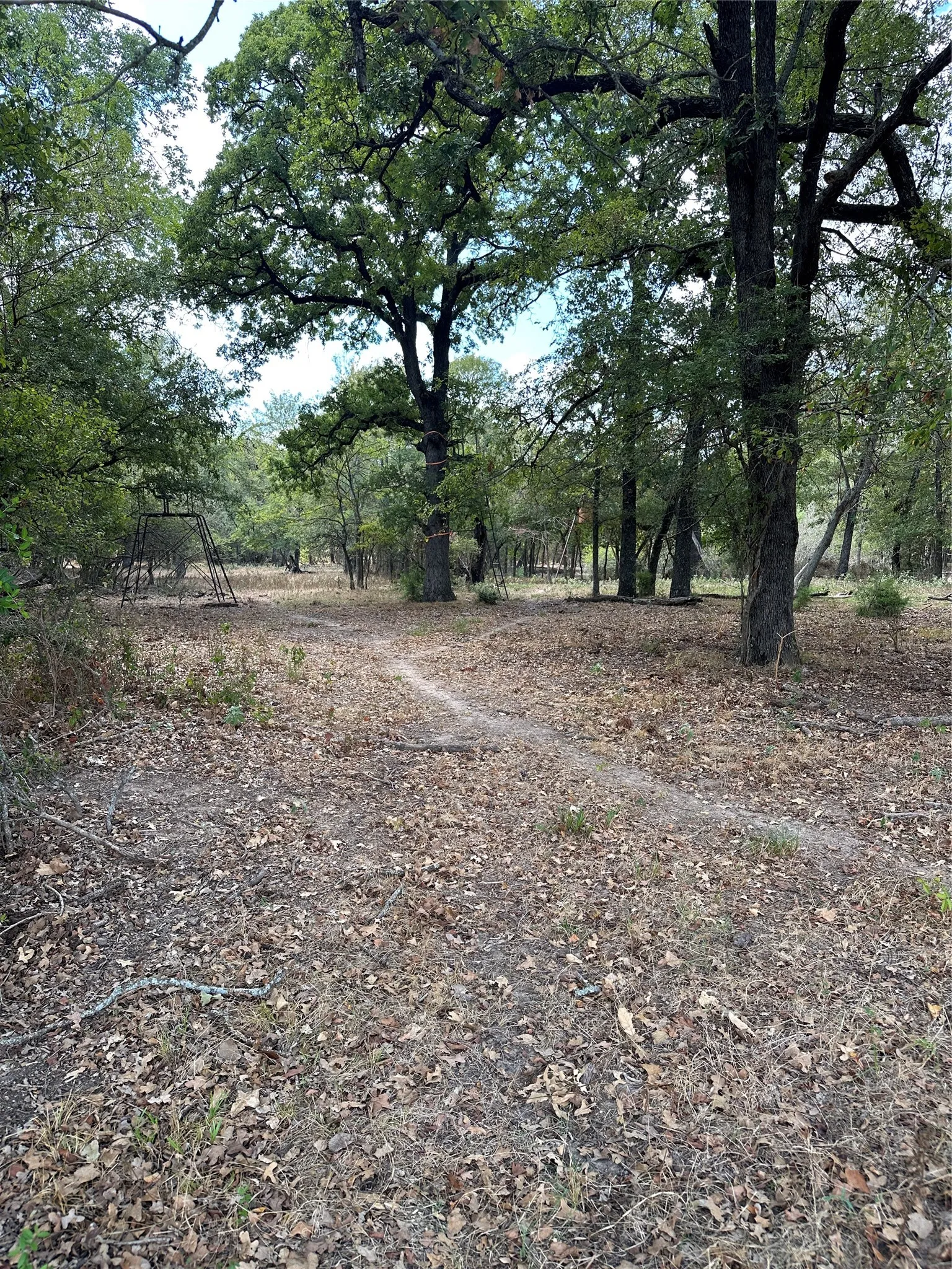 Improved Land For Sale in Robertson County , 853 CR 206, Bremond, Texas 76629, 0, 0, Garage spaces, 0 Sqft, built in 0, Price $1,178,100, mls#21190710, Real Estate Agent in Bremond, Homes For Sale in Robertson county, Homes For Sale in Bremond, Realtor in Bremond Texas, Real Estate Brokerage Independent Realty Texas, Luminita Cordes Realtor