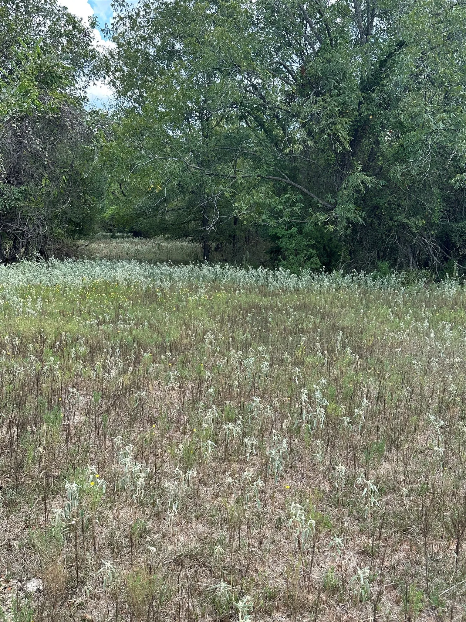 Improved Land For Sale in Robertson County , 853 CR 206, Bremond, Texas 76629, 0, 0, Garage spaces, 0 Sqft, built in 0, Price $1,178,100, mls#21190710, Real Estate Agent in Bremond, Homes For Sale in Robertson county, Homes For Sale in Bremond, Realtor in Bremond Texas, Real Estate Brokerage Independent Realty Texas, Luminita Cordes Realtor