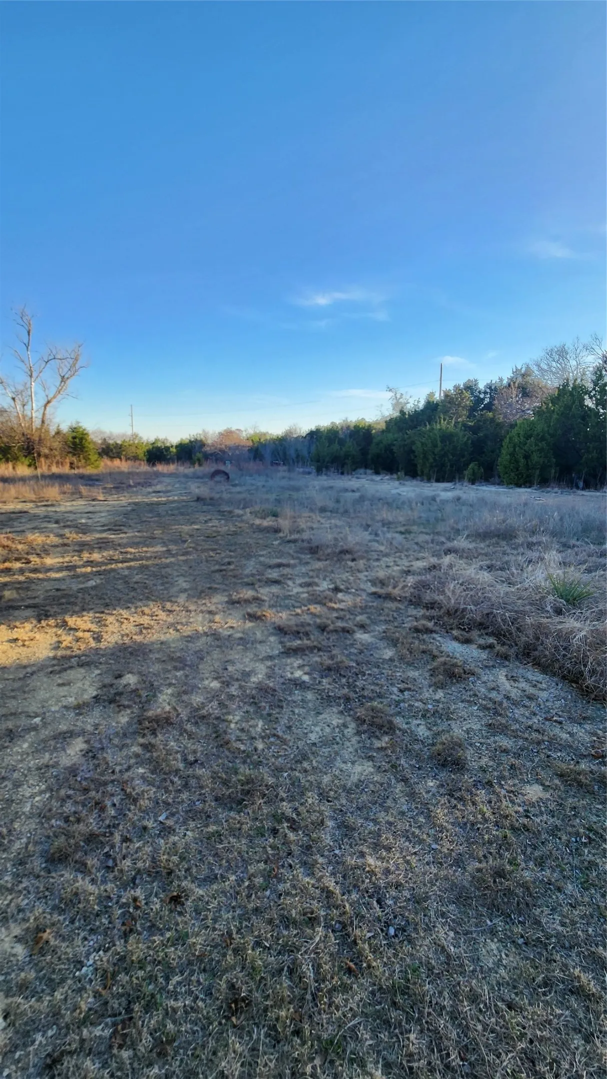 Unimproved Land For Sale in Parker County , 905 Zion Hill Road, Weatherford, Texas 76088, 0, 0, Garage spaces, 0 Sqft, built in 0, mls#21179891, Real Estate Agent in Weatherford, Homes For Sale in Parker county, Homes For Sale in Weatherford, Realtor in Weatherford Texas, Real Estate Brokerage Independent Realty Texas, Luminita Cordes Realtor