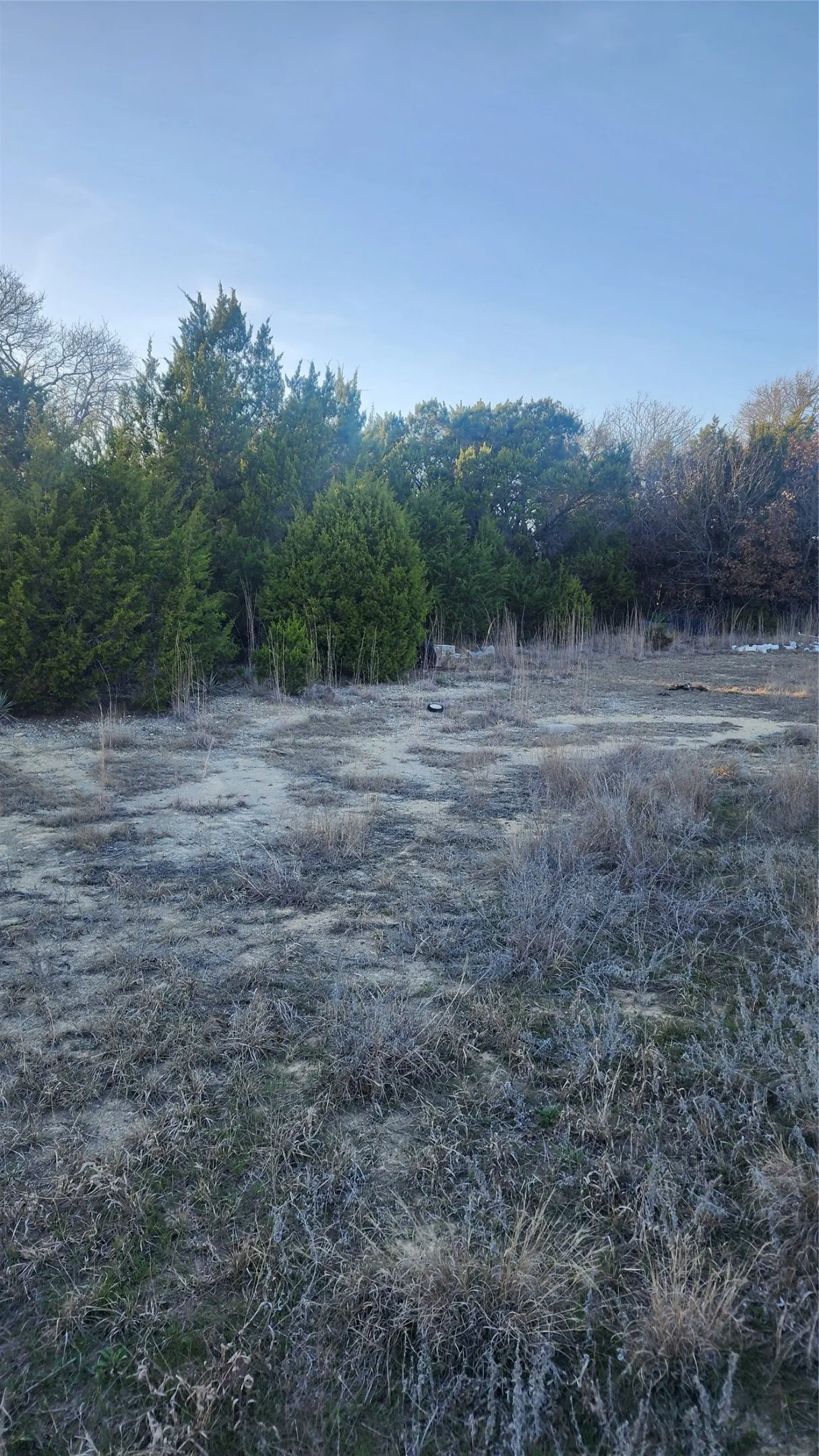 Unimproved Land For Sale in Parker County , 905 Zion Hill Road, Weatherford, Texas 76088, 0, 0, Garage spaces, 0 Sqft, built in 0, mls#21179891, Real Estate Agent in Weatherford, Homes For Sale in Parker county, Homes For Sale in Weatherford, Realtor in Weatherford Texas, Real Estate Brokerage Independent Realty Texas, Luminita Cordes Realtor