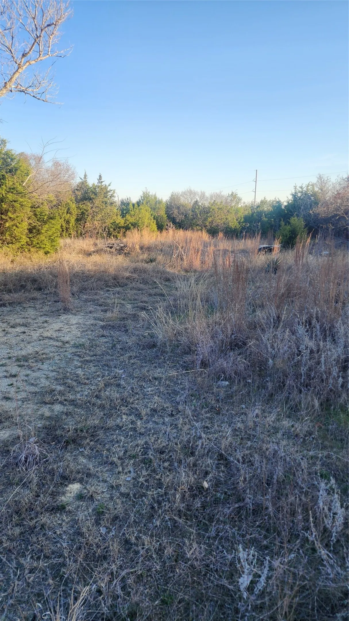 Unimproved Land For Sale in Parker County , 905 Zion Hill Road, Weatherford, Texas 76088, 0, 0, Garage spaces, 0 Sqft, built in 0, mls#21179891, Real Estate Agent in Weatherford, Homes For Sale in Parker county, Homes For Sale in Weatherford, Realtor in Weatherford Texas, Real Estate Brokerage Independent Realty Texas, Luminita Cordes Realtor