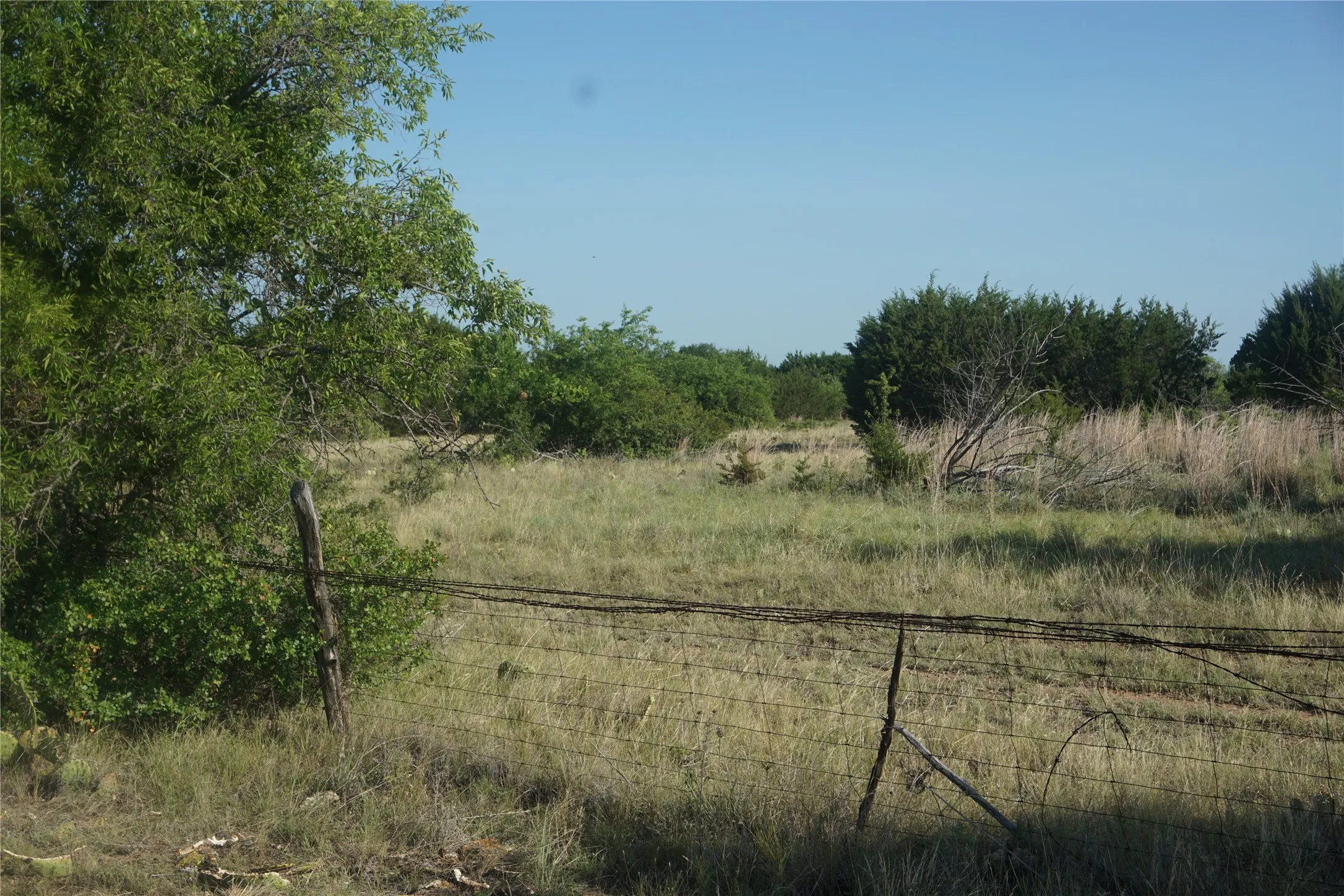 The back fence line is ranch land.