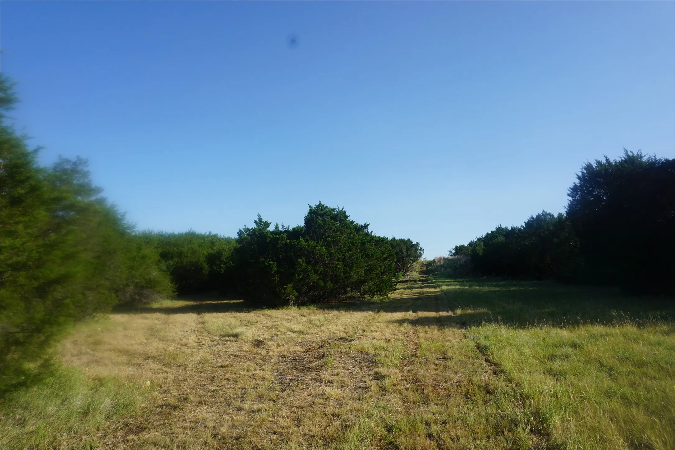 A path has been cleared to walk or drive an ATV to the back fence line of this property.