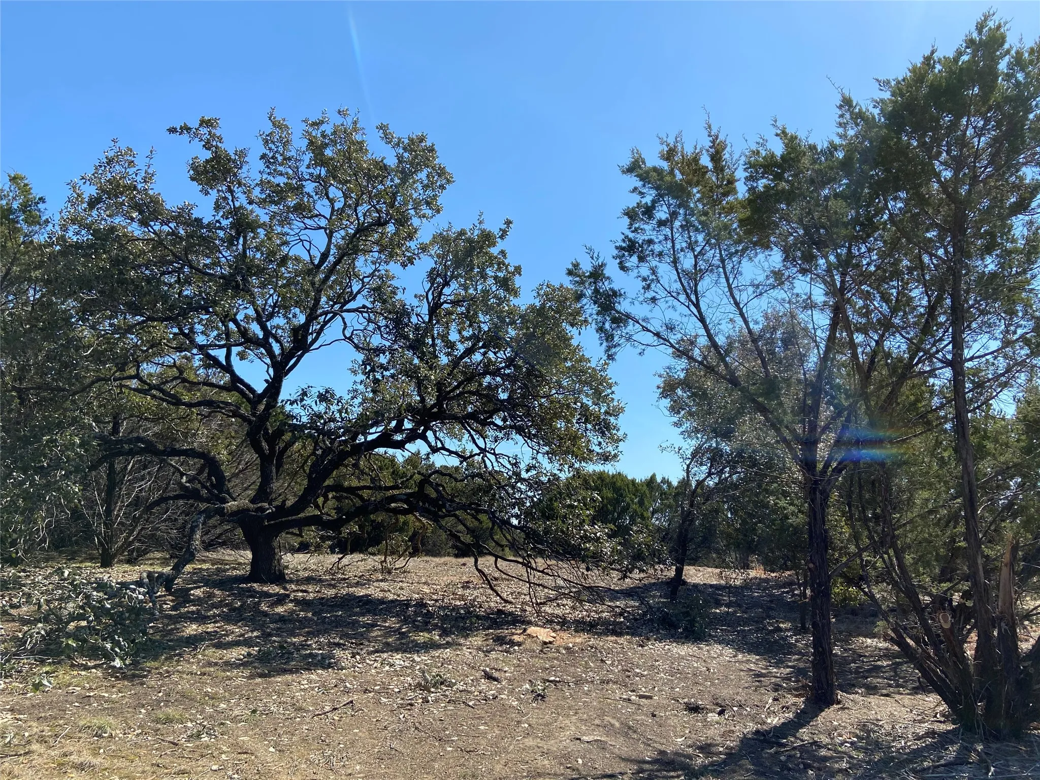 Weather is perfect to come on out and walk this property!