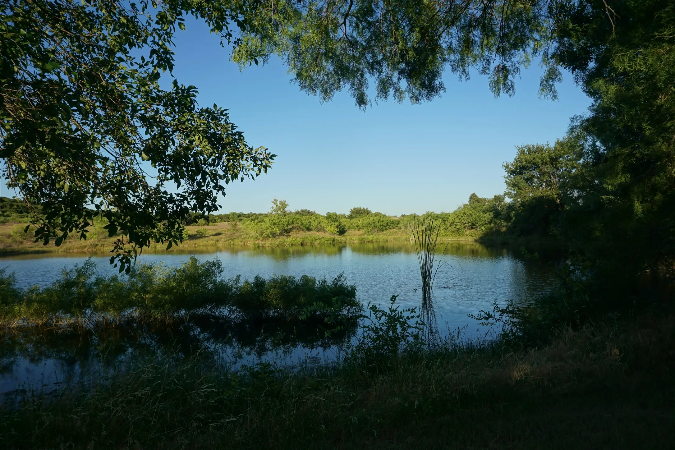 Community fishing pond is a great place to escape the noise of life.