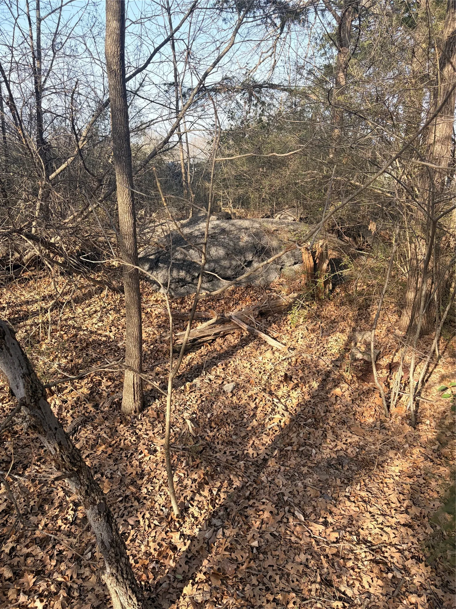 The property features natural rock formations and a wooded landscape with mature trees