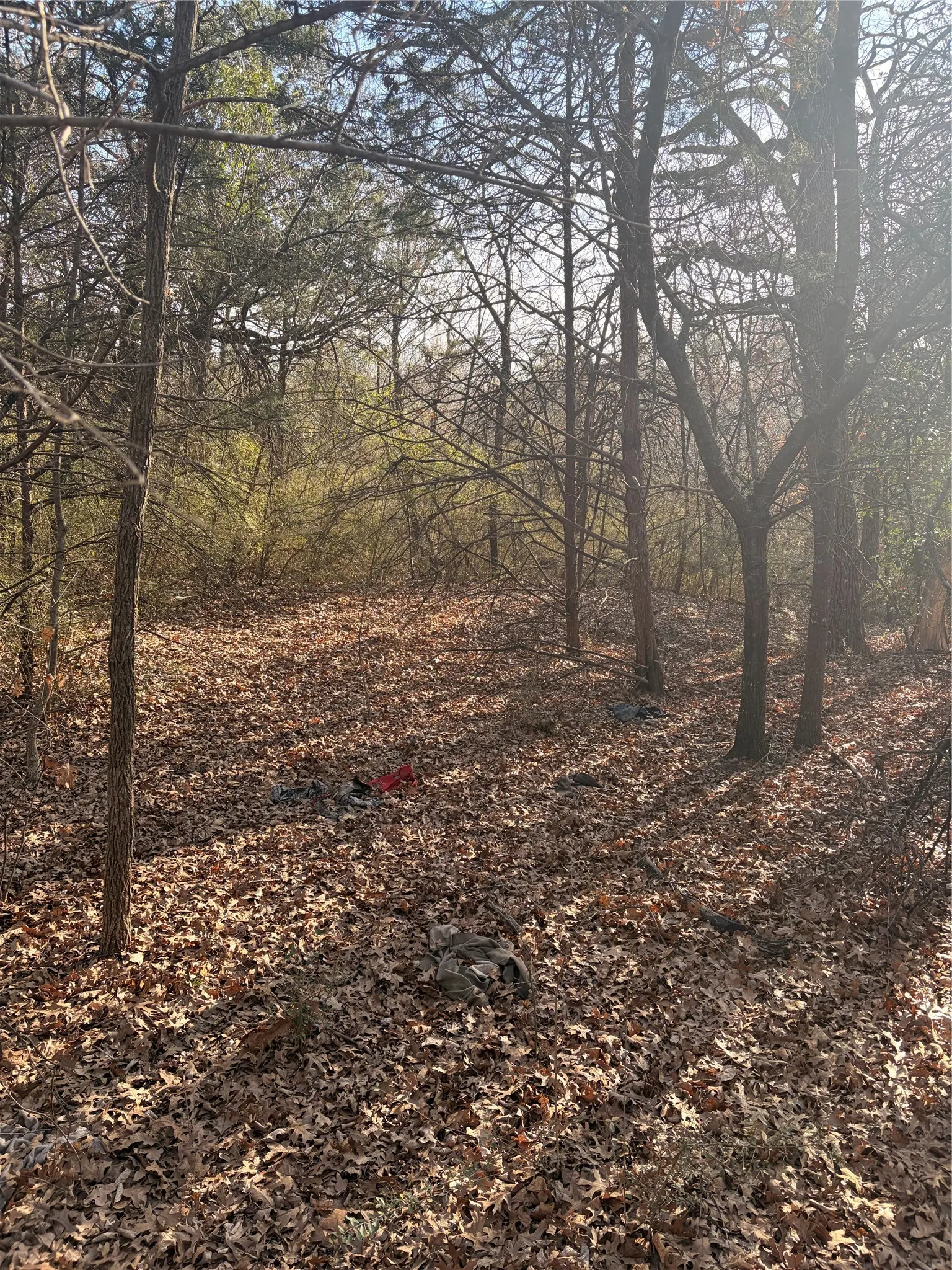 The property features a wooded landscape with mature trees and a ground covered in fallen leaves