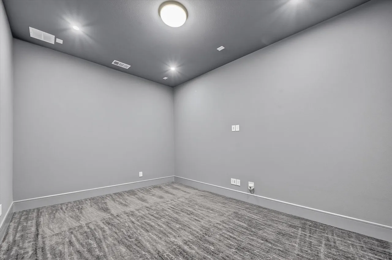 Entertainment Room