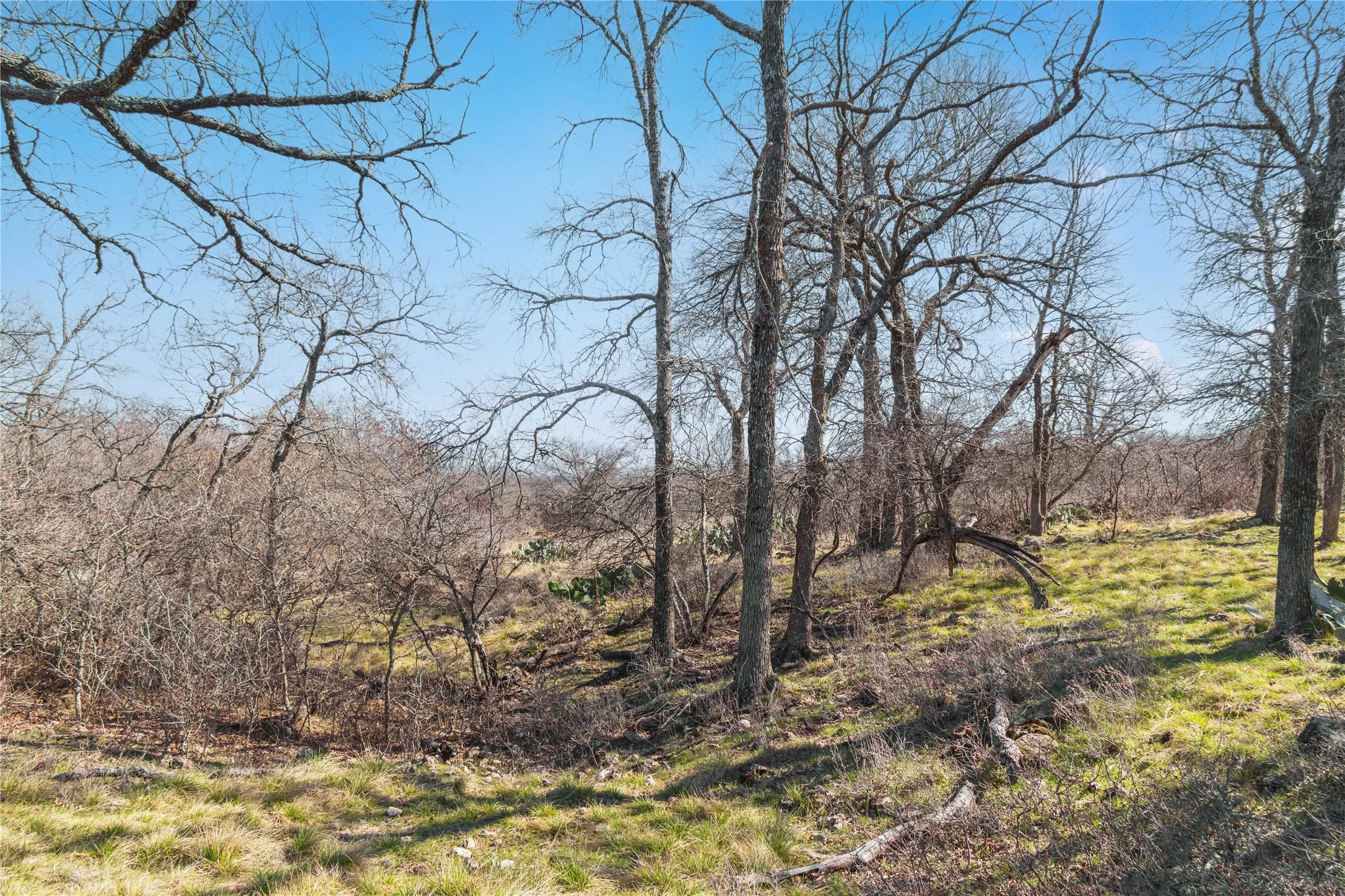 Farm For Sale in Mills County , 194 County Road 214, Goldthwaite, Texas 76844, 3 Bedroom, 2 Bathroom, 2 Garage spaces, 1,639 Sqft, built in 2009, mls#21193795, Real Estate Agent in Goldthwaite, Homes For Sale in Mills county, Homes For Sale in Goldthwaite, Realtor in Goldthwaite Texas, Real Estate Brokerage Independent Realty Texas, Luminita Cordes Realtor
