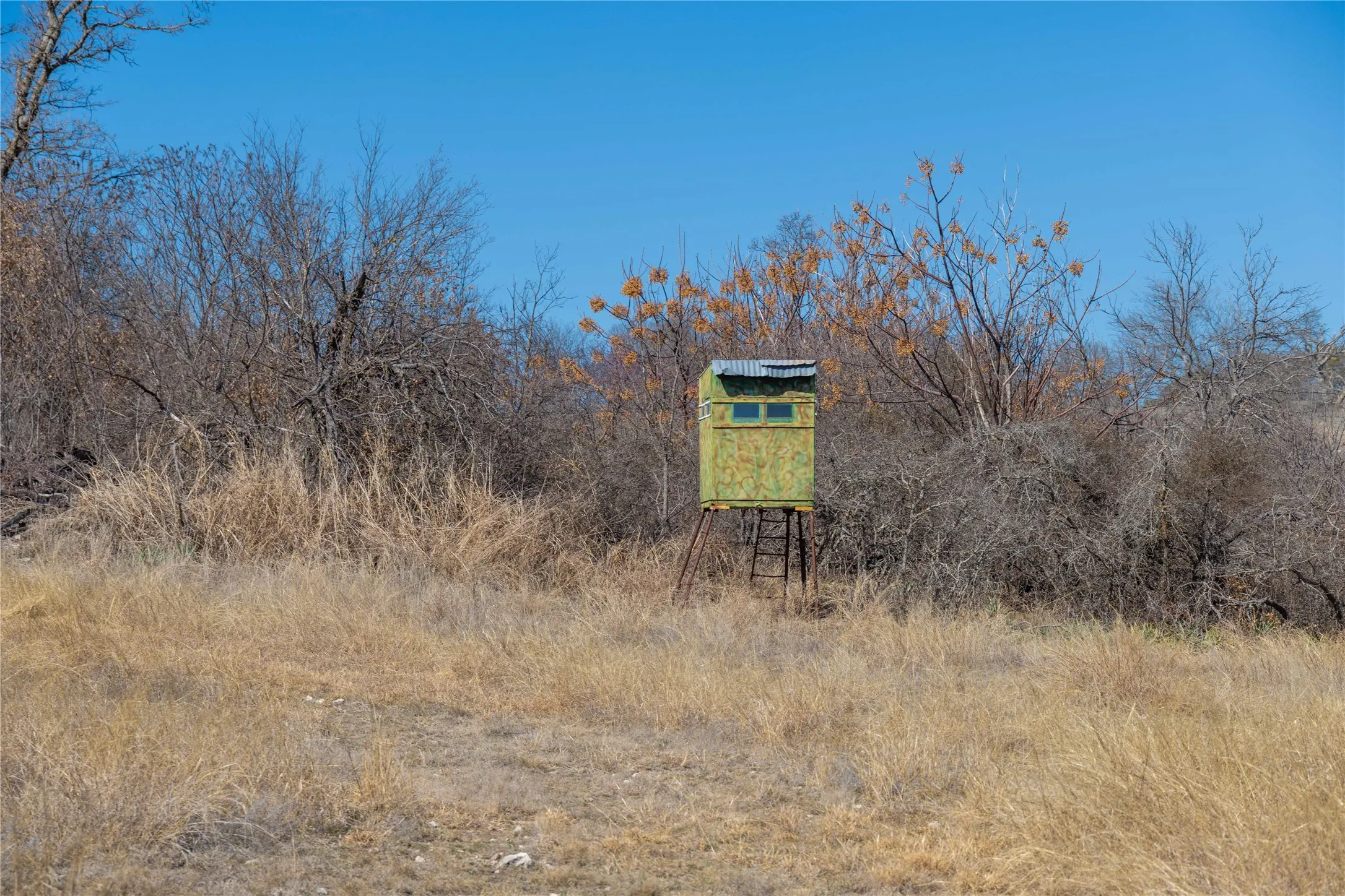 Farm For Sale in Mills County , 194 County Road 214, Goldthwaite, Texas 76844, 3 Bedroom, 2 Bathroom, 2 Garage spaces, 1,639 Sqft, built in 2009, mls#21193795, Real Estate Agent in Goldthwaite, Homes For Sale in Mills county, Homes For Sale in Goldthwaite, Realtor in Goldthwaite Texas, Real Estate Brokerage Independent Realty Texas, Luminita Cordes Realtor