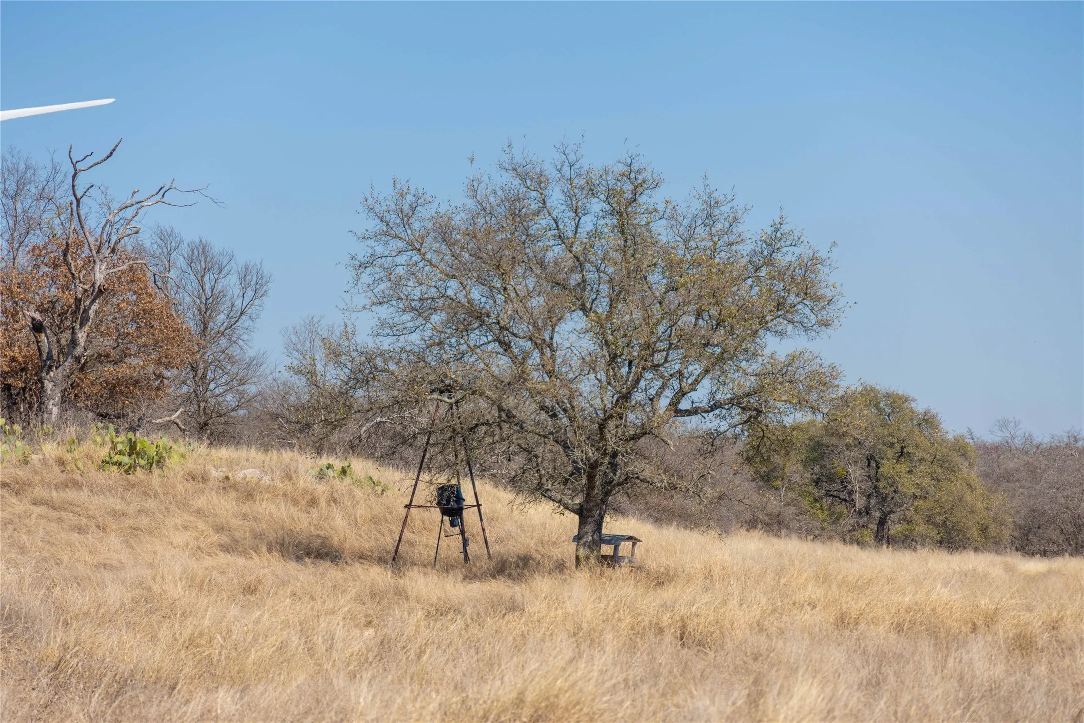 Farm For Sale in Mills County , 194 County Road 214, Goldthwaite, Texas 76844, 3 Bedroom, 2 Bathroom, 2 Garage spaces, 1,639 Sqft, built in 2009, mls#21193795, Real Estate Agent in Goldthwaite, Homes For Sale in Mills county, Homes For Sale in Goldthwaite, Realtor in Goldthwaite Texas, Real Estate Brokerage Independent Realty Texas, Luminita Cordes Realtor