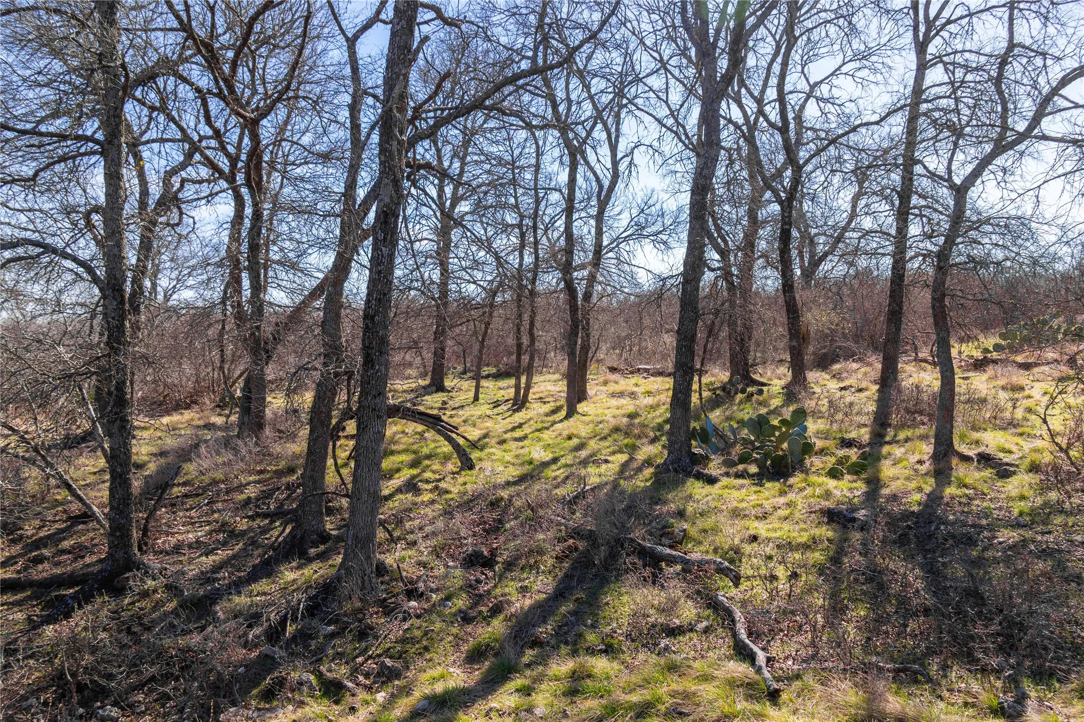 Farm For Sale in Mills County , 194 County Road 214, Goldthwaite, Texas 76844, 3 Bedroom, 2 Bathroom, 2 Garage spaces, 1,639 Sqft, built in 2009, mls#21193795, Real Estate Agent in Goldthwaite, Homes For Sale in Mills county, Homes For Sale in Goldthwaite, Realtor in Goldthwaite Texas, Real Estate Brokerage Independent Realty Texas, Luminita Cordes Realtor