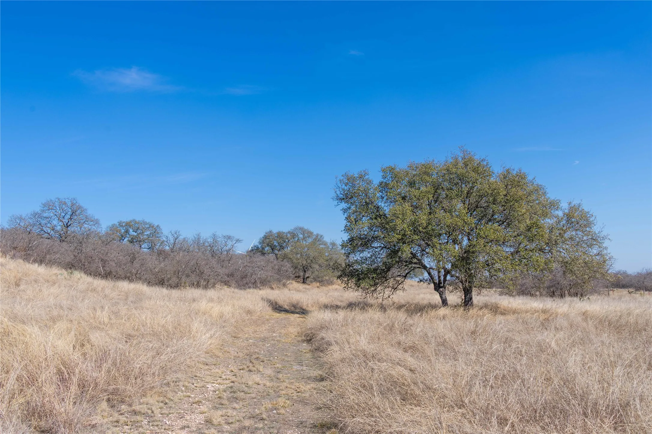 Farm For Sale in Mills County , 194 County Road 214, Goldthwaite, Texas 76844, 3 Bedroom, 2 Bathroom, 2 Garage spaces, 1,639 Sqft, built in 2009, mls#21193795, Real Estate Agent in Goldthwaite, Homes For Sale in Mills county, Homes For Sale in Goldthwaite, Realtor in Goldthwaite Texas, Real Estate Brokerage Independent Realty Texas, Luminita Cordes Realtor