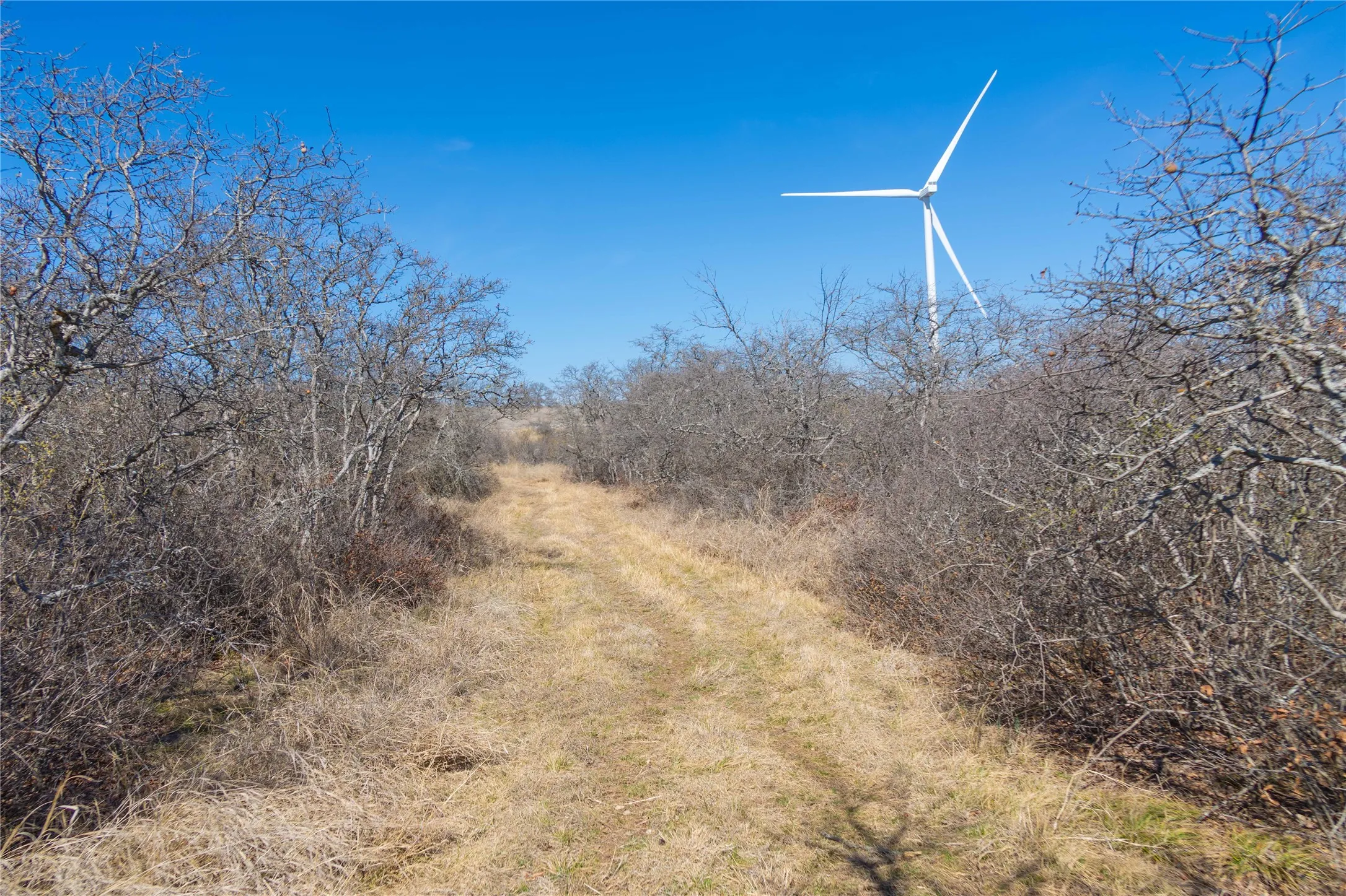 Farm For Sale in Mills County , 194 County Road 214, Goldthwaite, Texas 76844, 3 Bedroom, 2 Bathroom, 2 Garage spaces, 1,639 Sqft, built in 2009, mls#21193795, Real Estate Agent in Goldthwaite, Homes For Sale in Mills county, Homes For Sale in Goldthwaite, Realtor in Goldthwaite Texas, Real Estate Brokerage Independent Realty Texas, Luminita Cordes Realtor