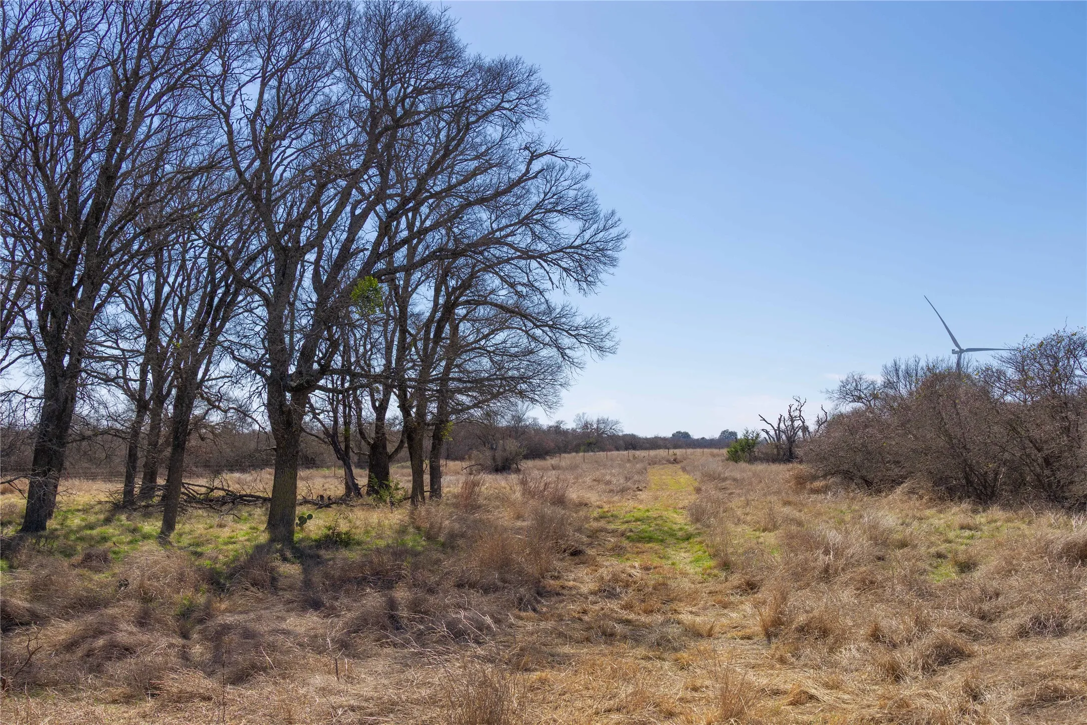 Farm For Sale in Mills County , 194 County Road 214, Goldthwaite, Texas 76844, 3 Bedroom, 2 Bathroom, 2 Garage spaces, 1,639 Sqft, built in 2009, mls#21193795, Real Estate Agent in Goldthwaite, Homes For Sale in Mills county, Homes For Sale in Goldthwaite, Realtor in Goldthwaite Texas, Real Estate Brokerage Independent Realty Texas, Luminita Cordes Realtor