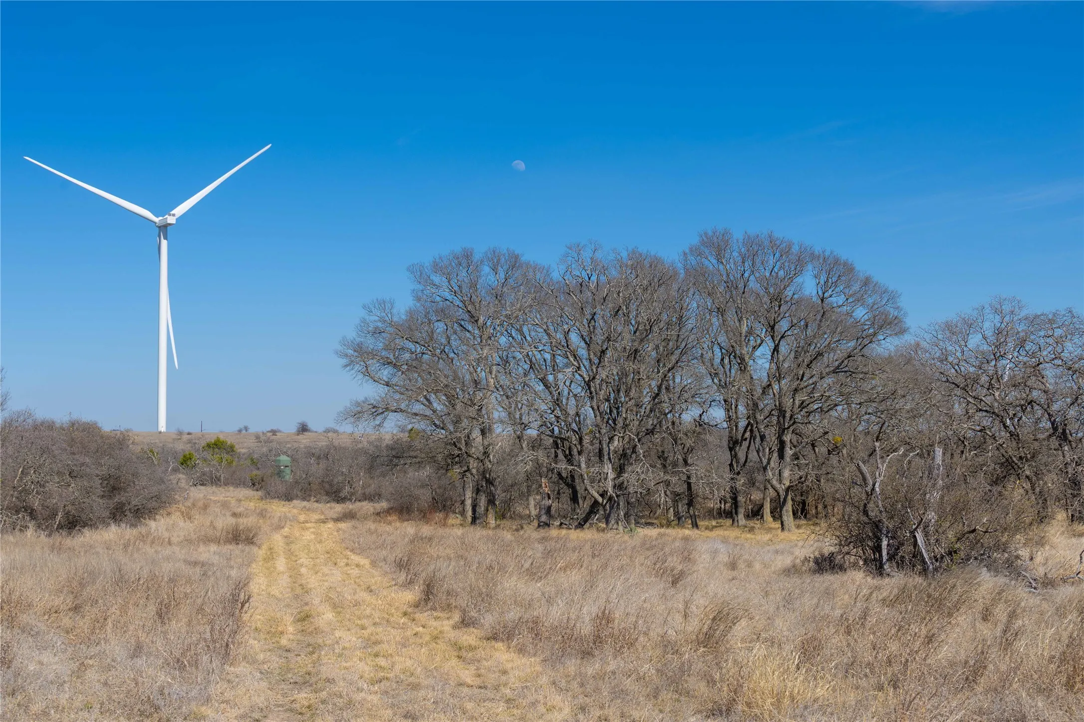 Farm For Sale in Mills County , 194 County Road 214, Goldthwaite, Texas 76844, 3 Bedroom, 2 Bathroom, 2 Garage spaces, 1,639 Sqft, built in 2009, mls#21193795, Real Estate Agent in Goldthwaite, Homes For Sale in Mills county, Homes For Sale in Goldthwaite, Realtor in Goldthwaite Texas, Real Estate Brokerage Independent Realty Texas, Luminita Cordes Realtor