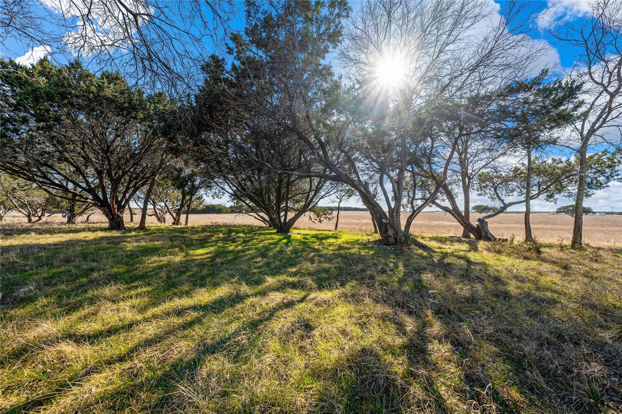 Farm For Sale in Mc Lennan County , 2820 Talbert Ranch Road, China Spring, Texas 76633, 4 Bedrooms, 3 Bathrooms, 4 Garage spaces, 2,868 Sqft, built in 2002, Price $1,600,000, mls#21193328, Real Estate Agent in China Spring, Homes For Sale in Mc Lennan county, Homes For Sale in China Spring, Realtor in China Spring Texas, Real Estate Brokerage Independent Realty Texas, Luminita Cordes Realtor