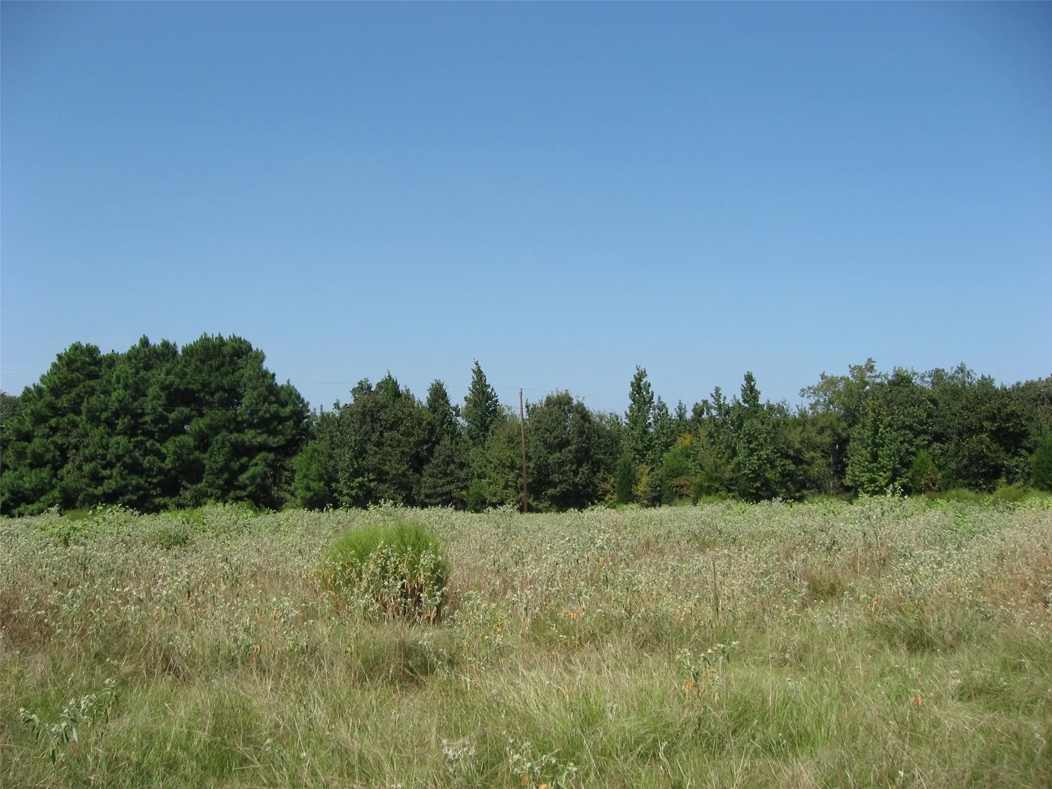 View of tree framed areas featuring a view of countryside